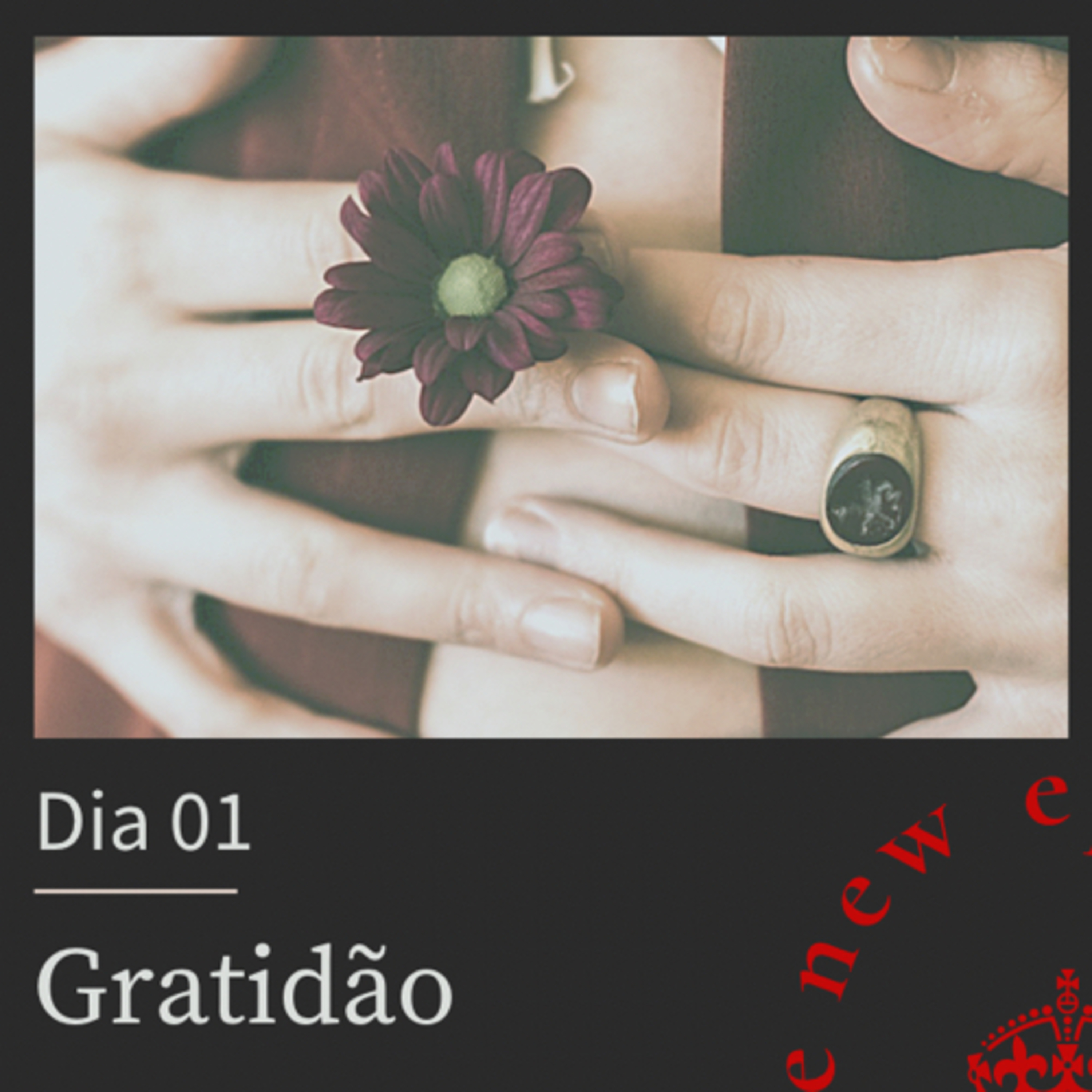 Dia 01 (Gratidão) episode artwork