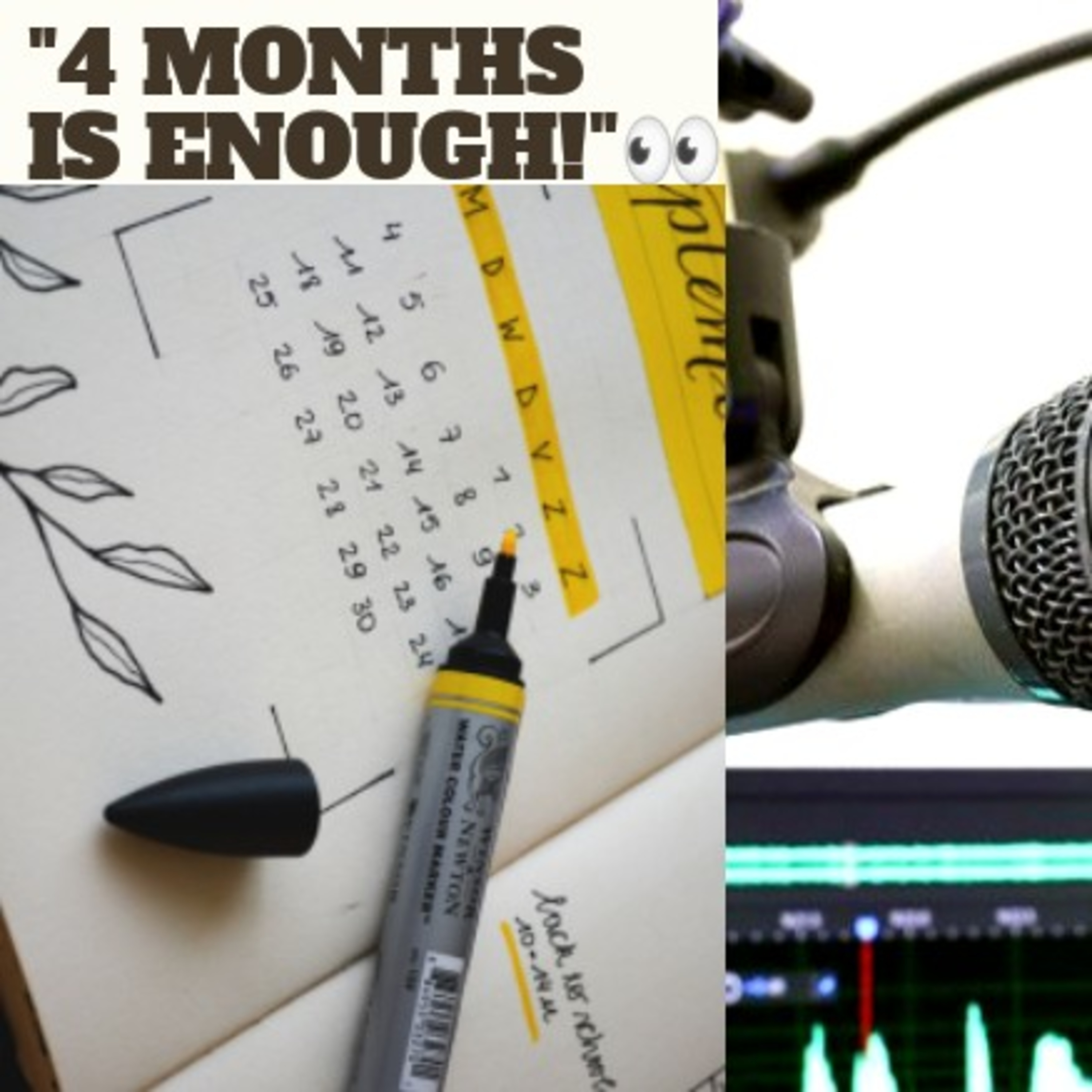 "4 months is enough" episode artwork