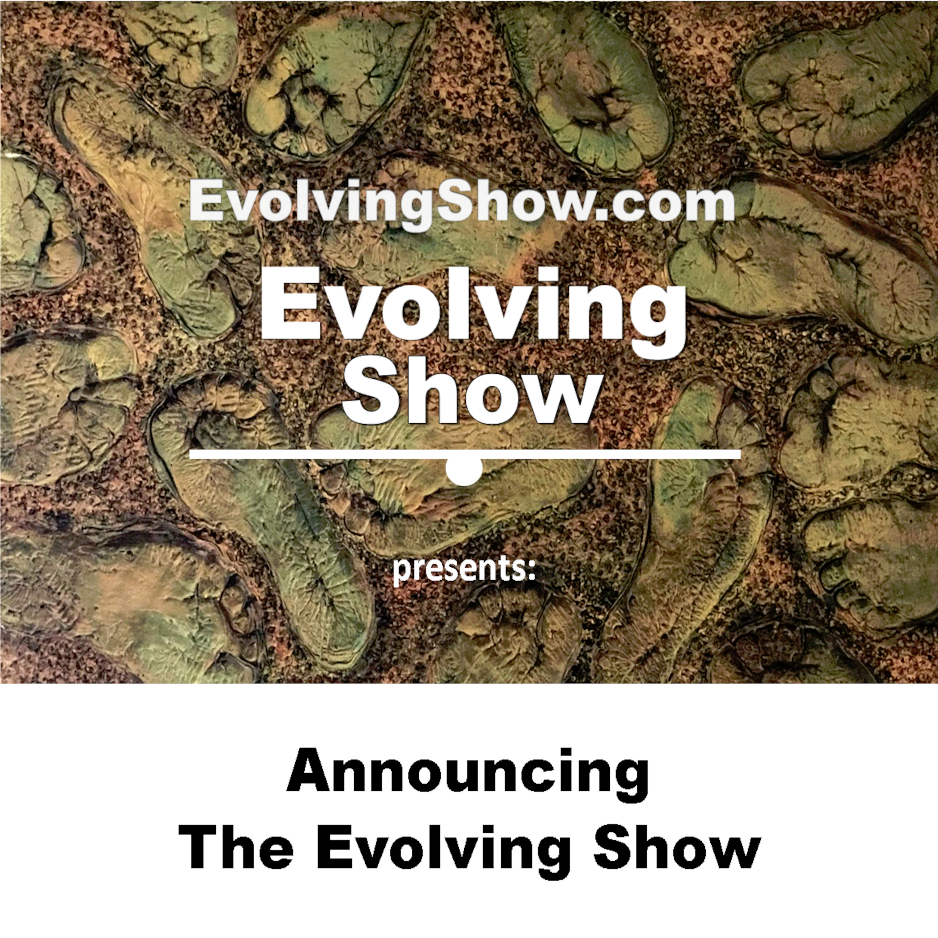 Announcing The Evolving Show episode artwork