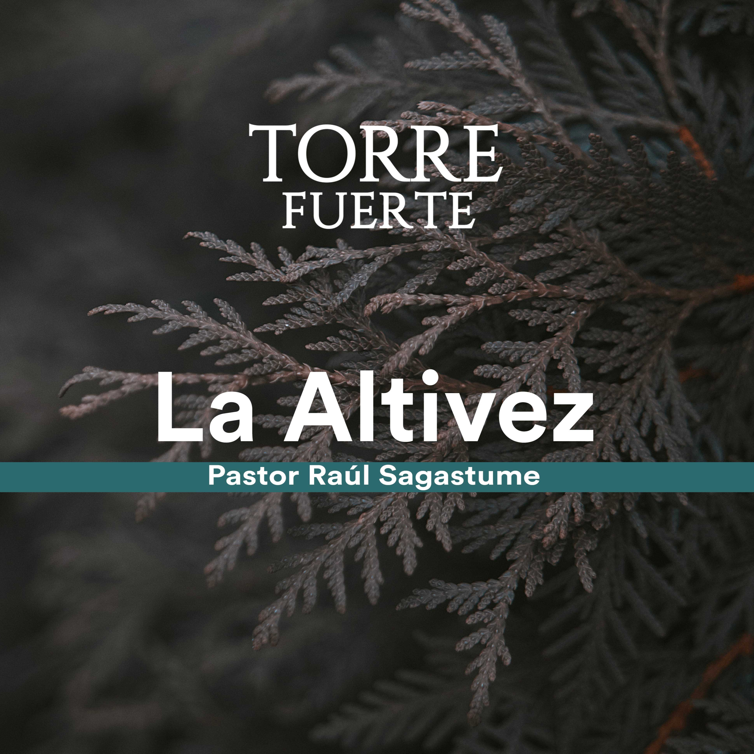 Raúl Sagastume Cruz