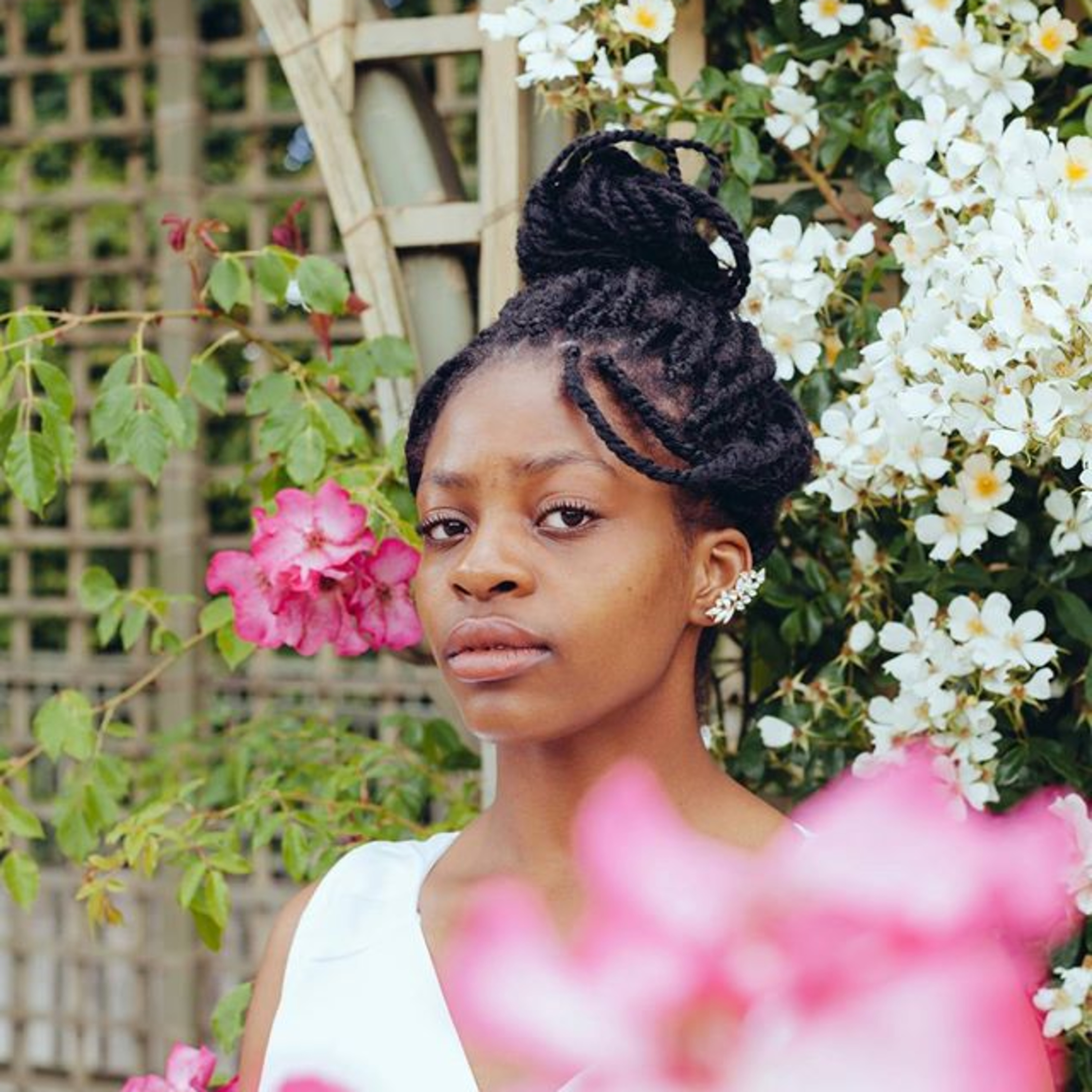 L\'Afropolitaine