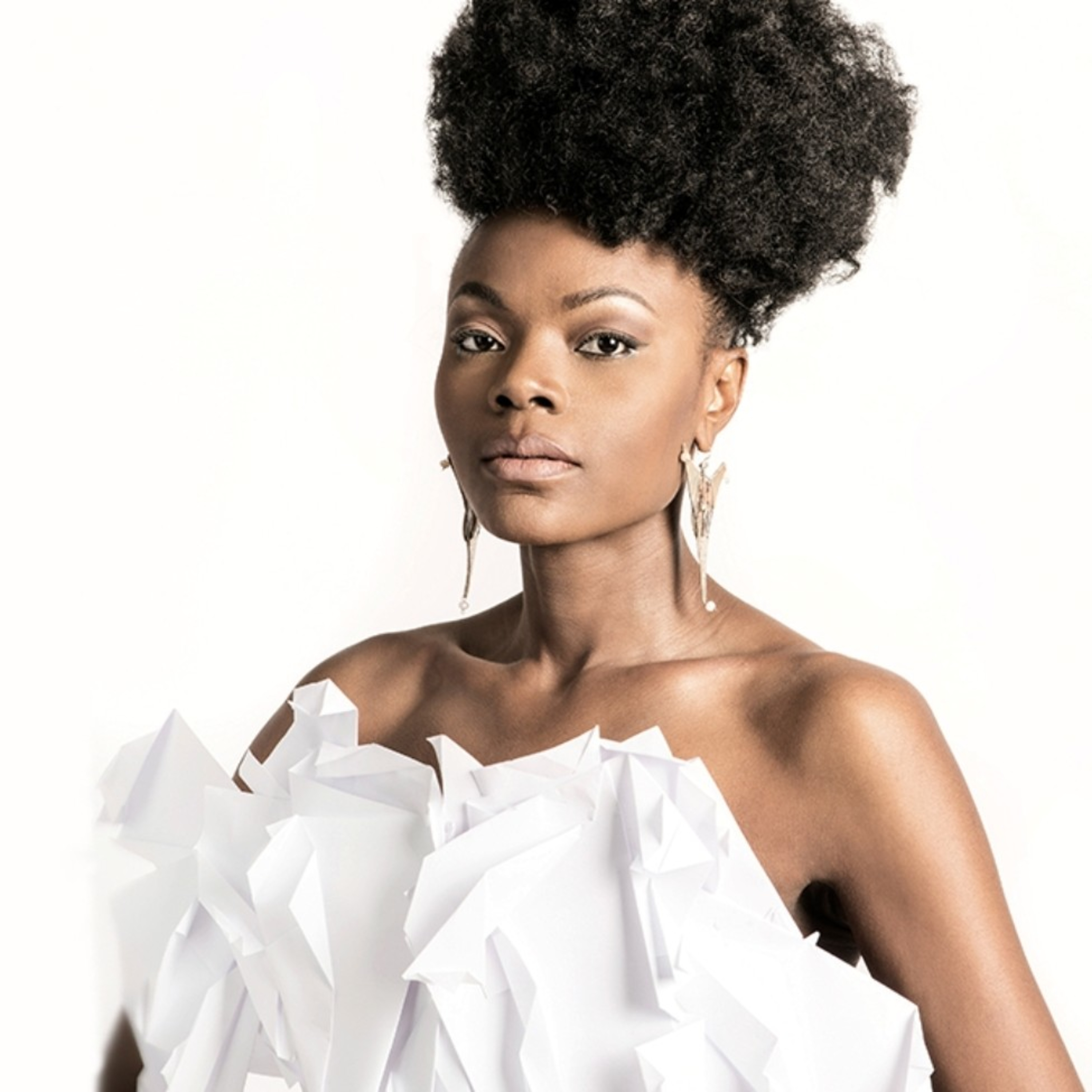 L\'Afropolitaine