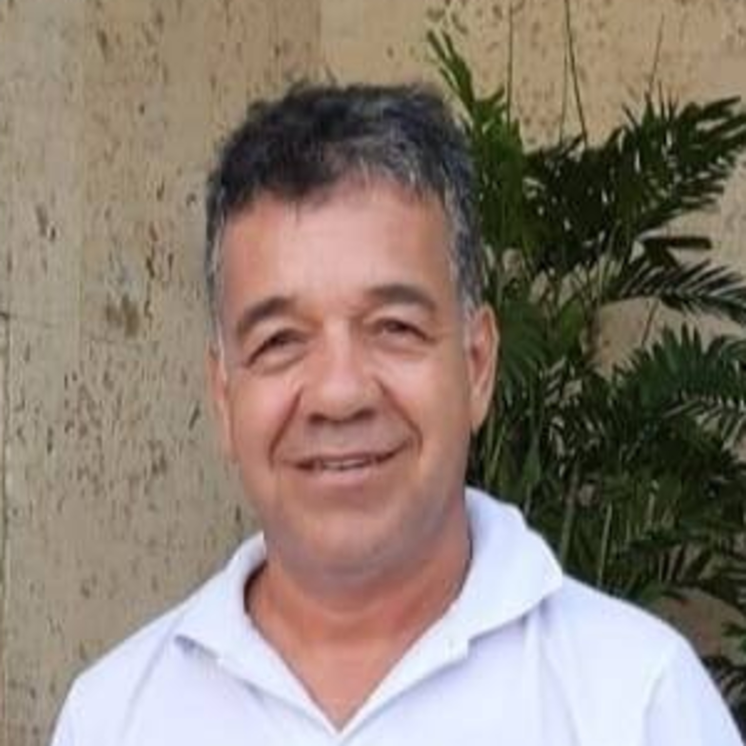 Violeta Stereo FM