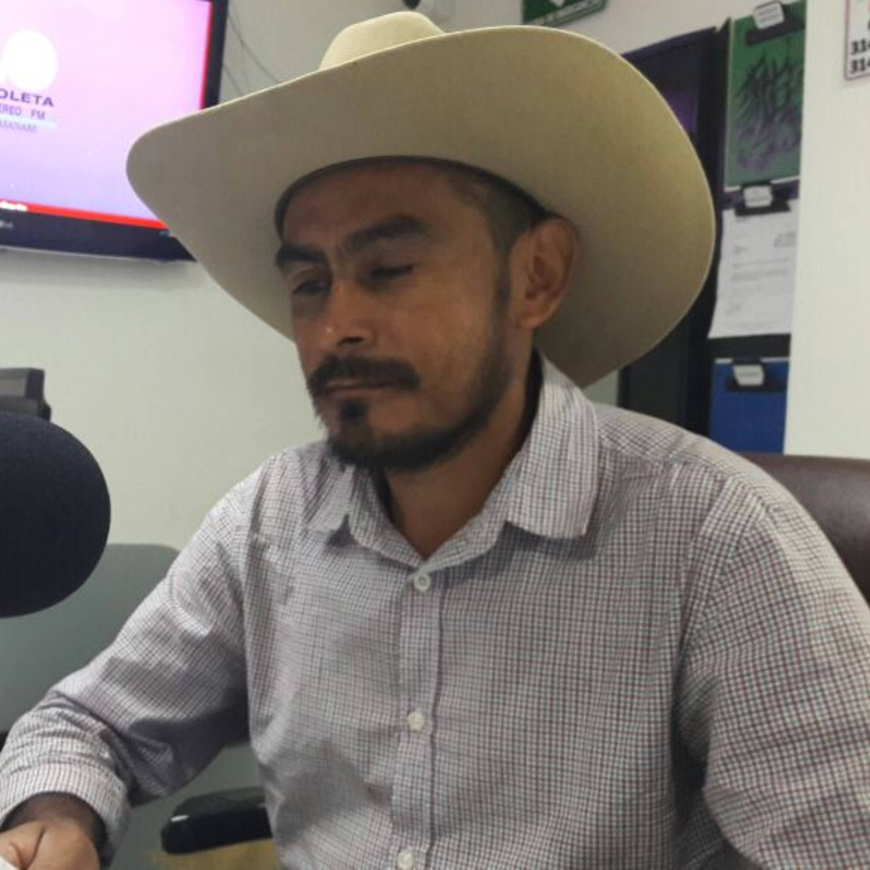 Violeta Stereo FM