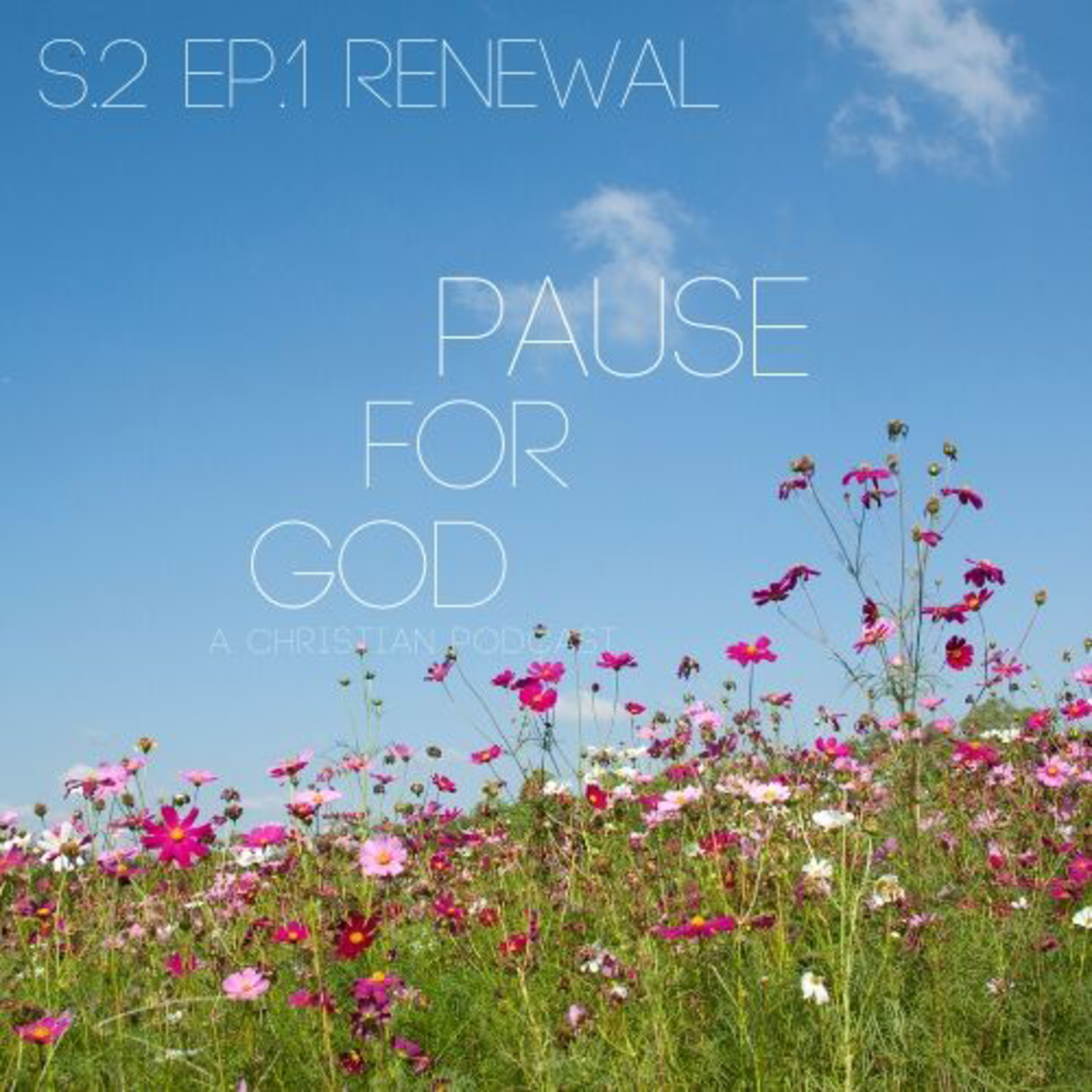 Renewal episode artwork