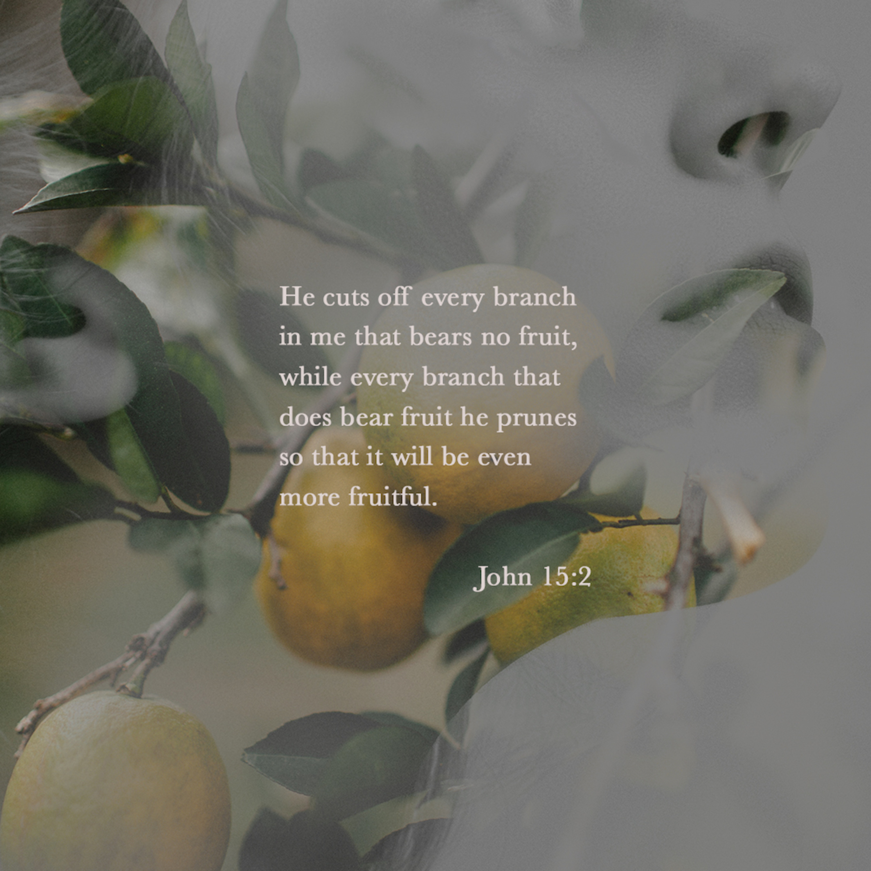 United by the Cross