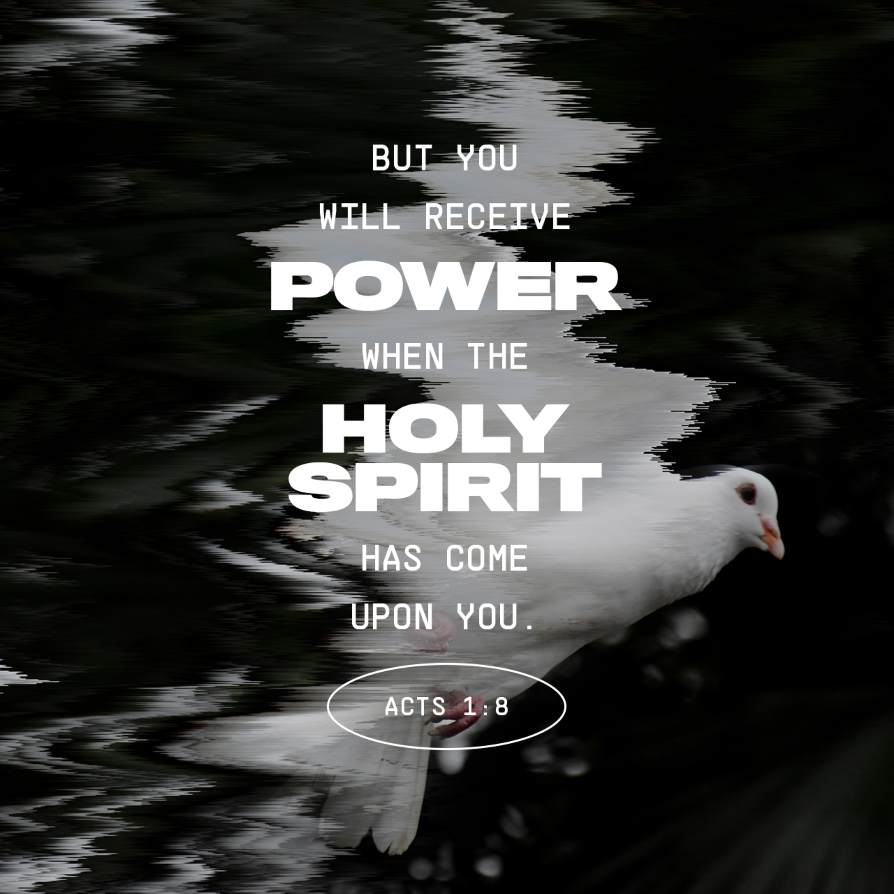 United by the Cross