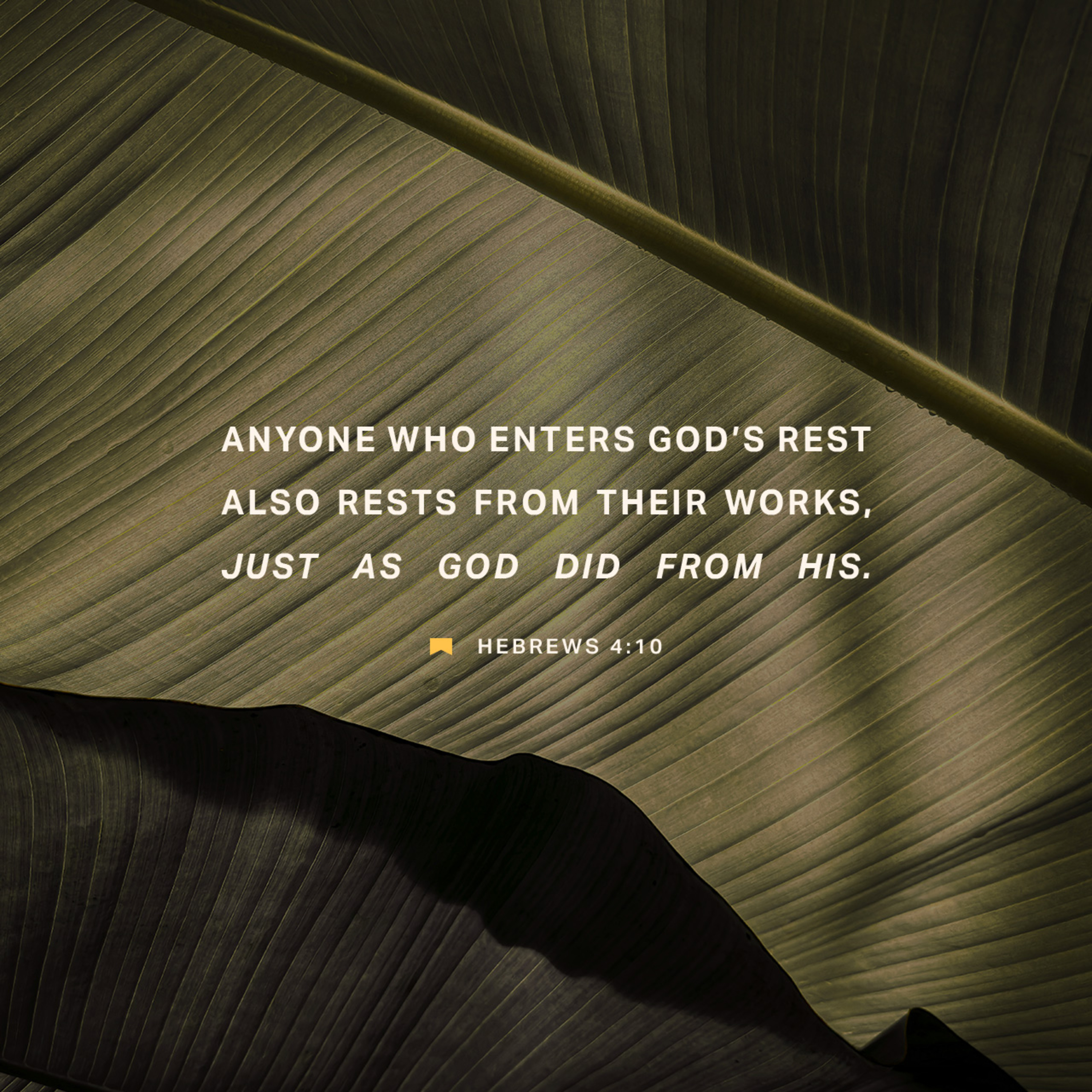 United by the Cross