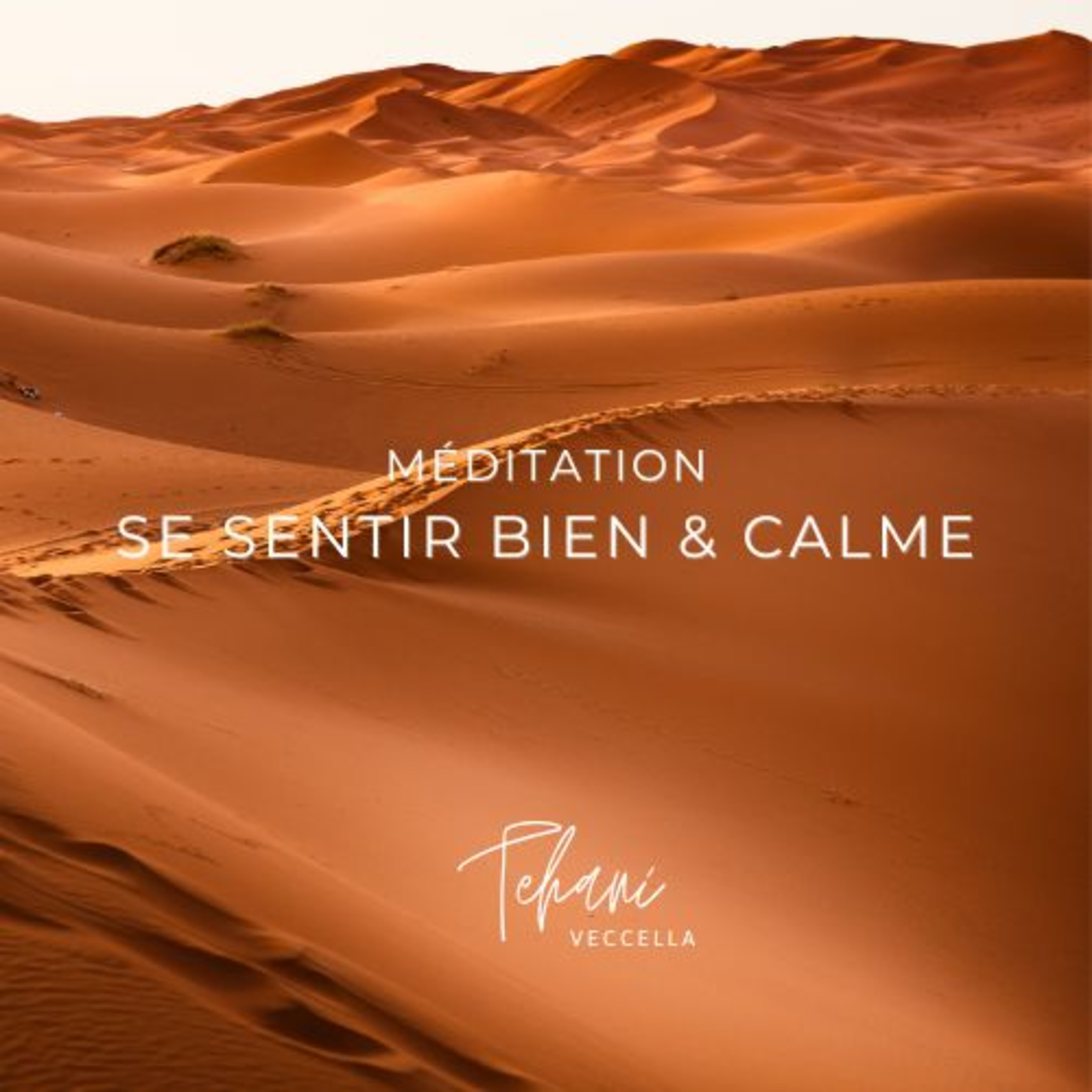 Faire un pas de côté - Tehani Veccella