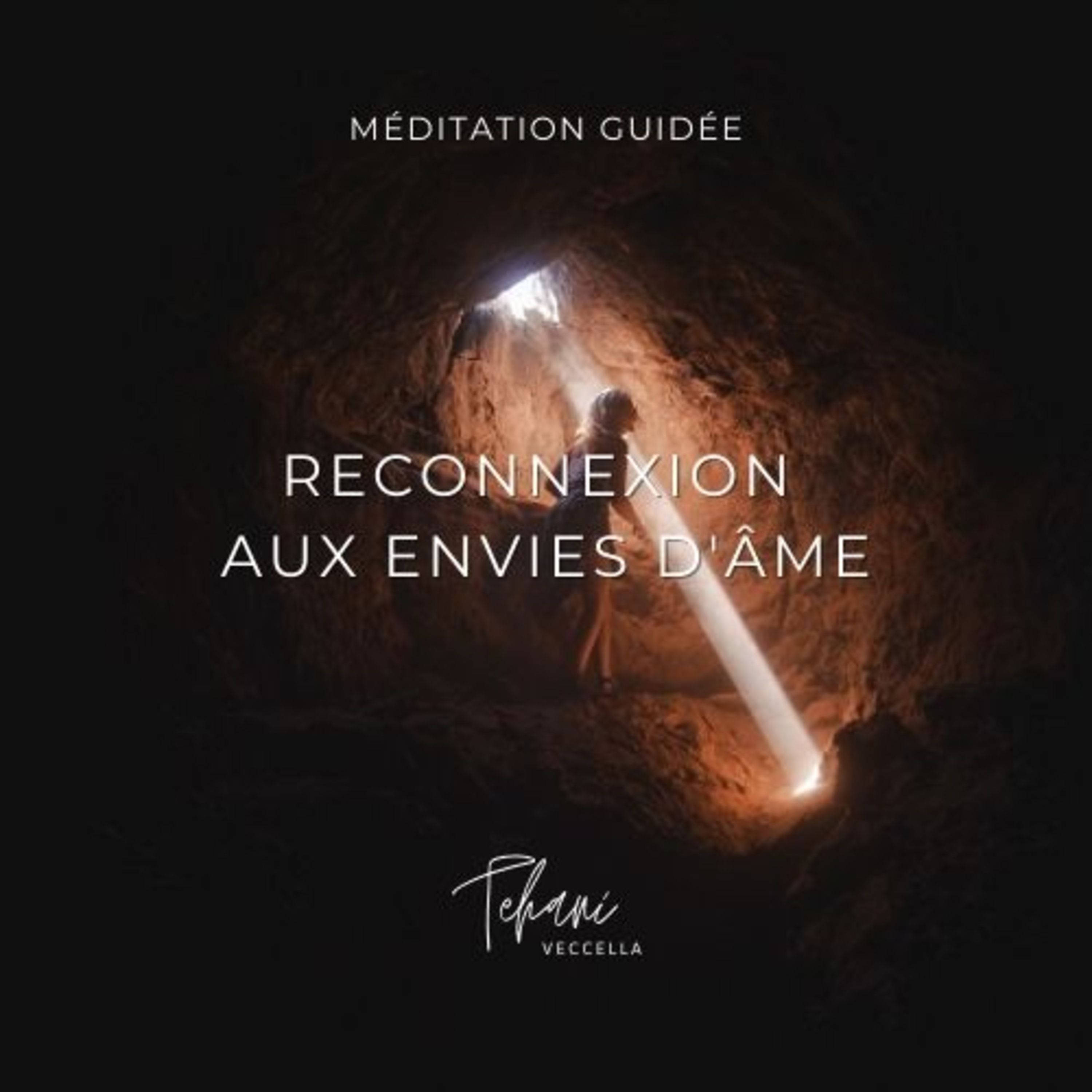 Faire un pas de côté - Tehani Veccella