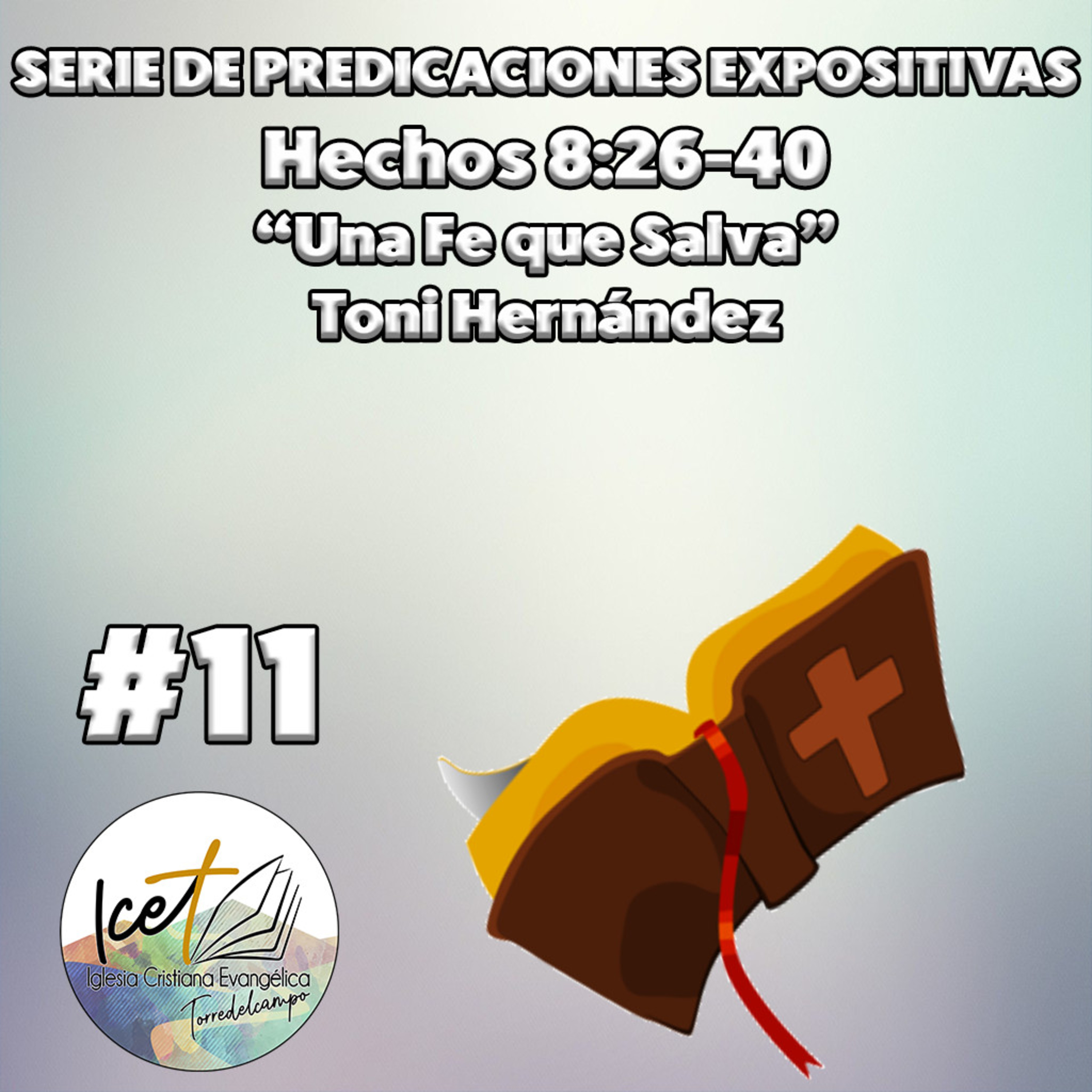 ICET - Serie De Predicaciones Expositivas