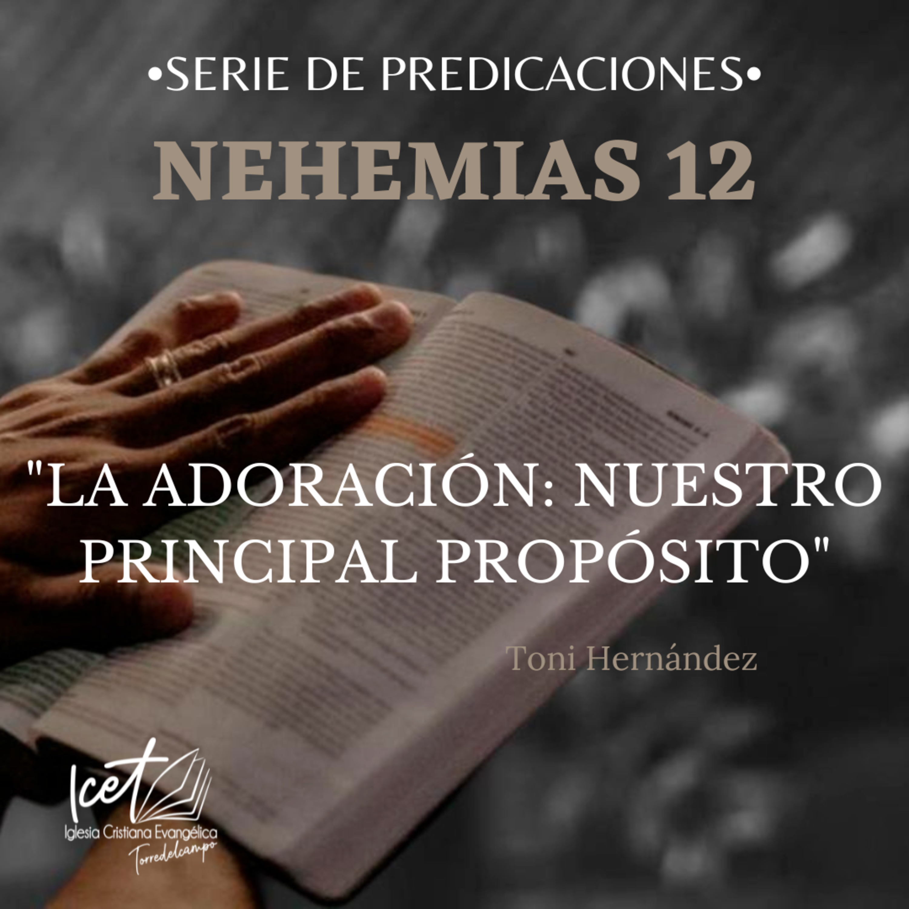 ICET - Serie De Predicaciones Expositivas