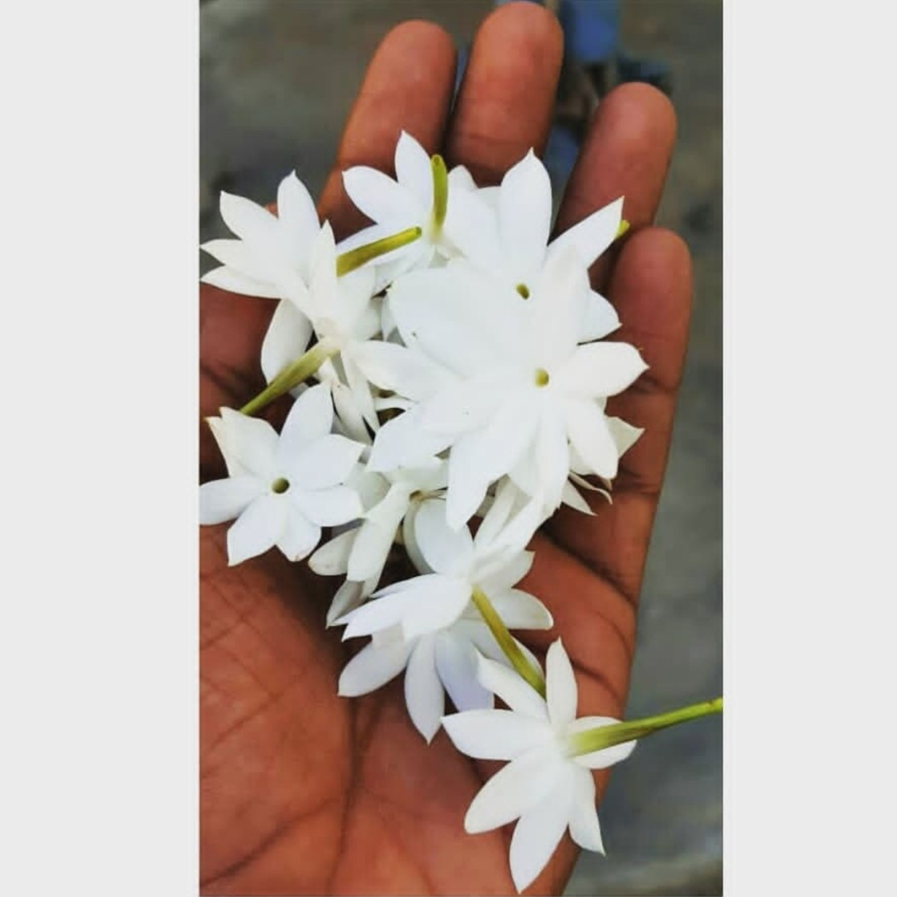 थोडंसं माझ्या लेखणी मधून