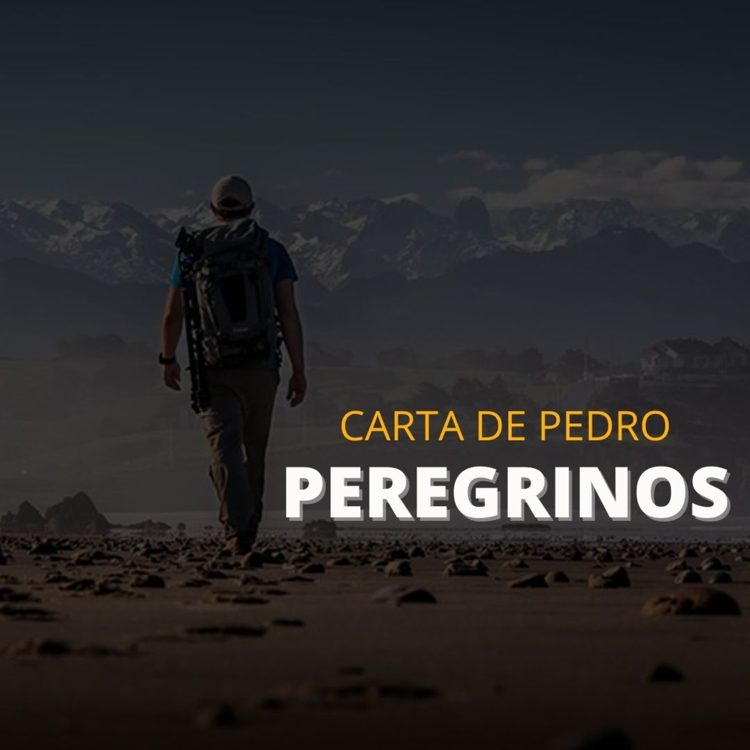 1PERDO 1.22-24 episode artwork