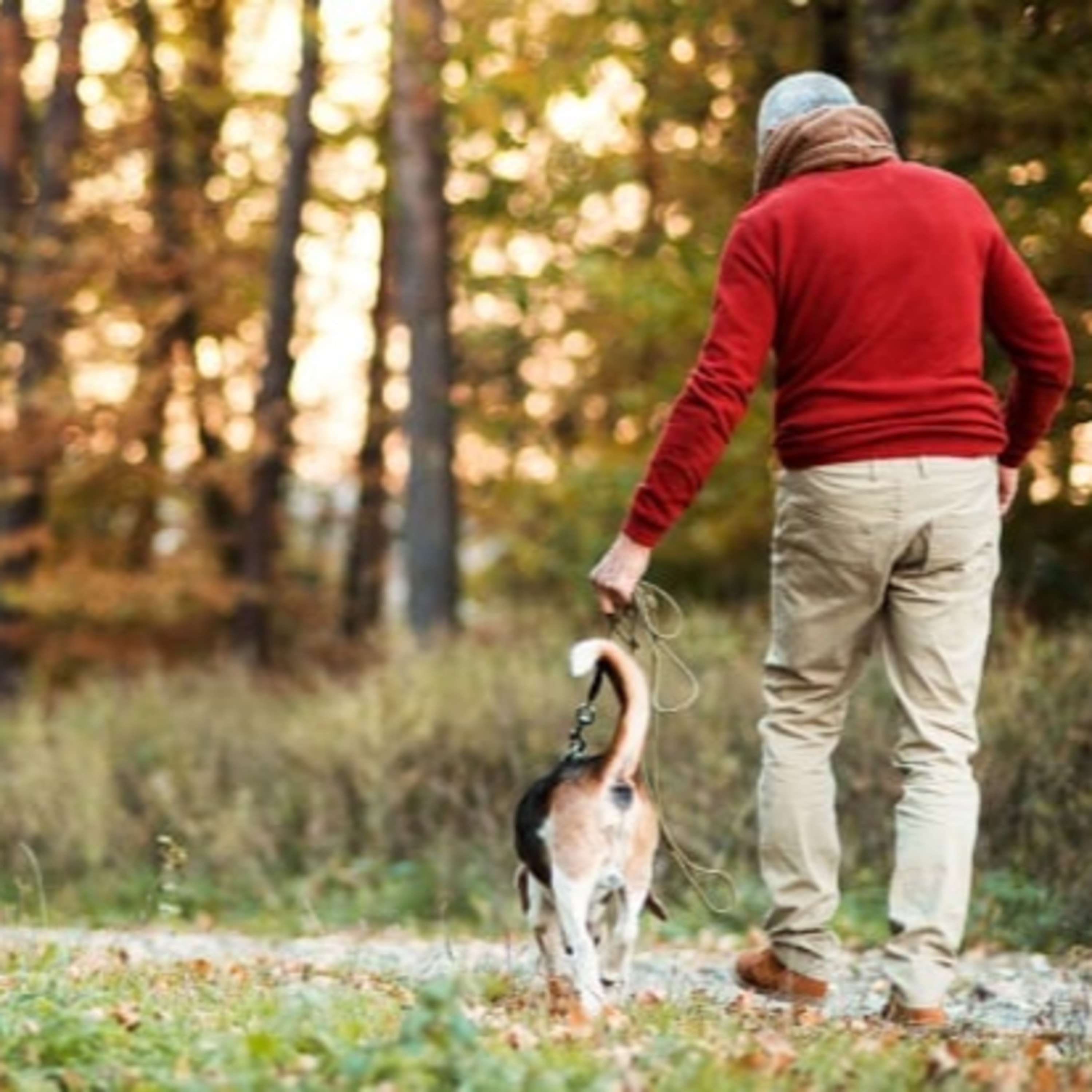 Pain Relief Chiropractic