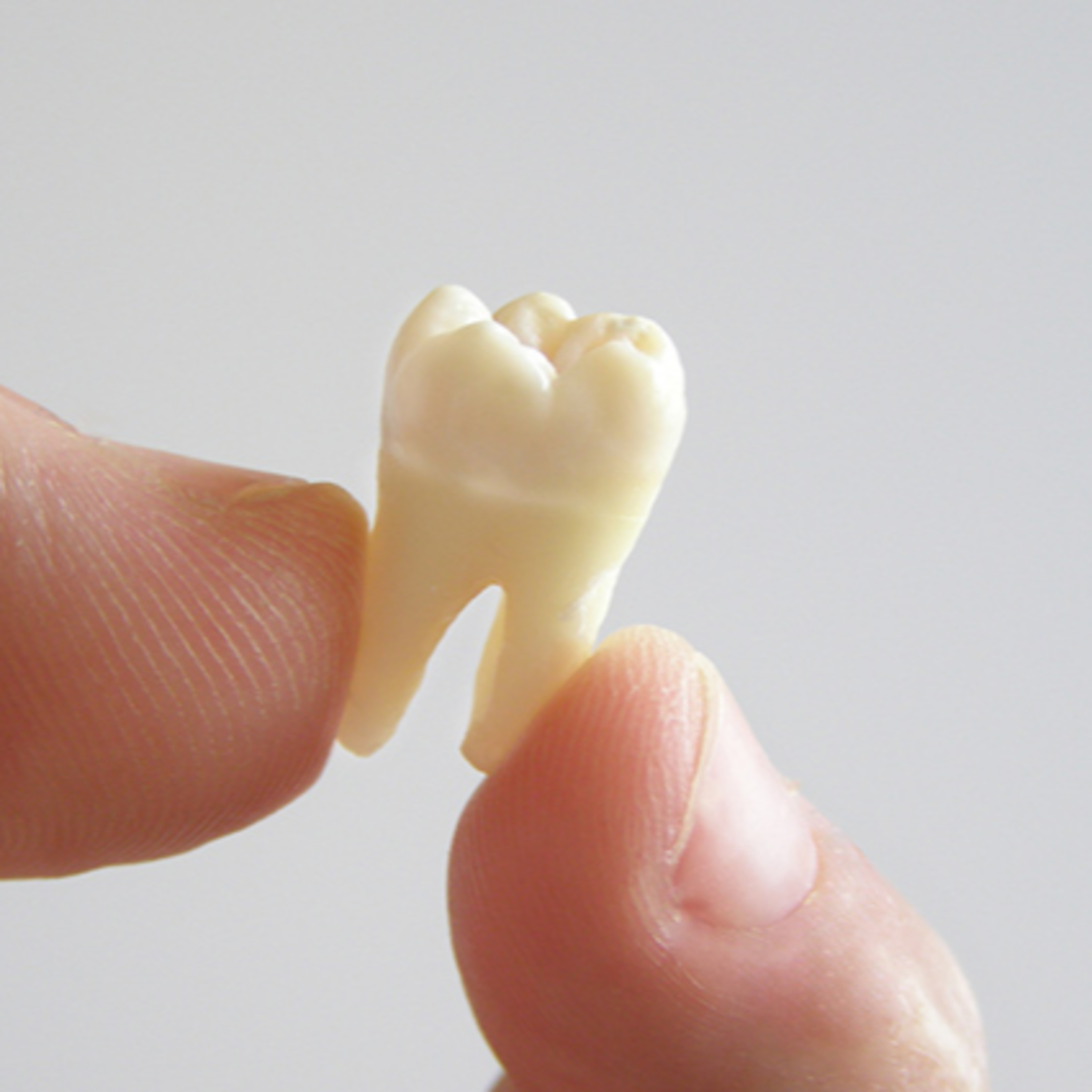 Dental Talks