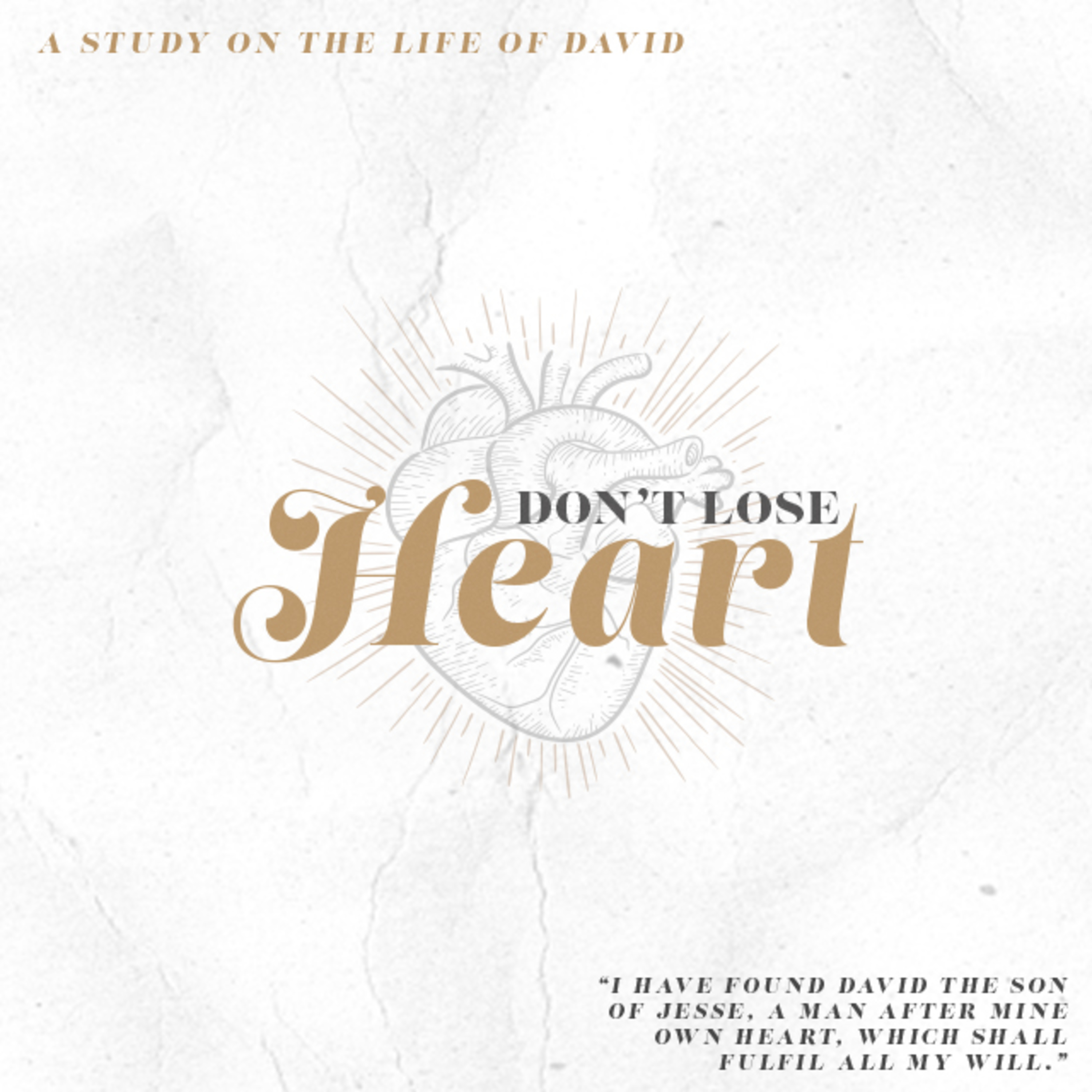 David Kept His Heart in Disappointment – 1 Chronicles 28:1-4 (2 Sam. 7) episode artwork