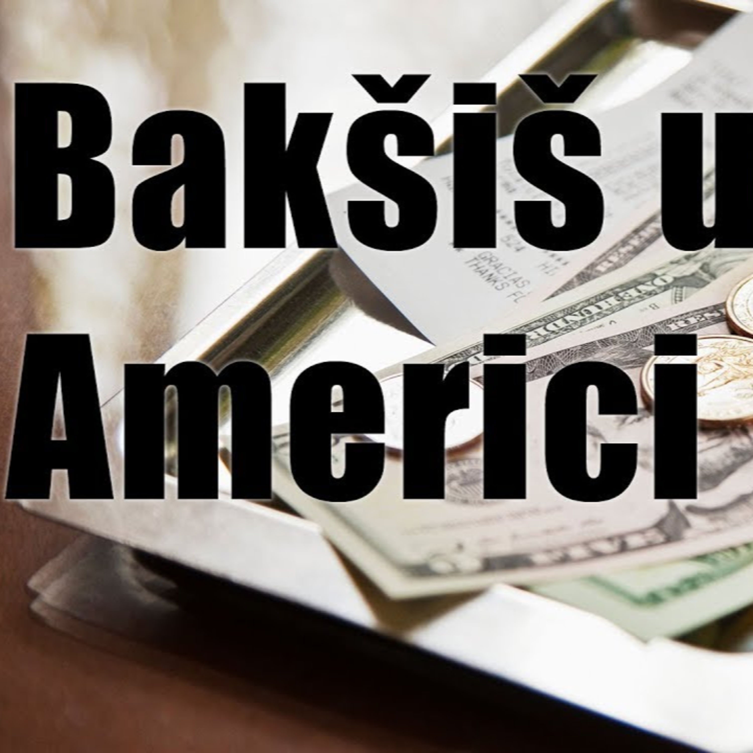 Tip, Napojnica, Bakšiš u americi! Da li je OK ili NE davati bakšiš i koliko ostaviti? episode artwork