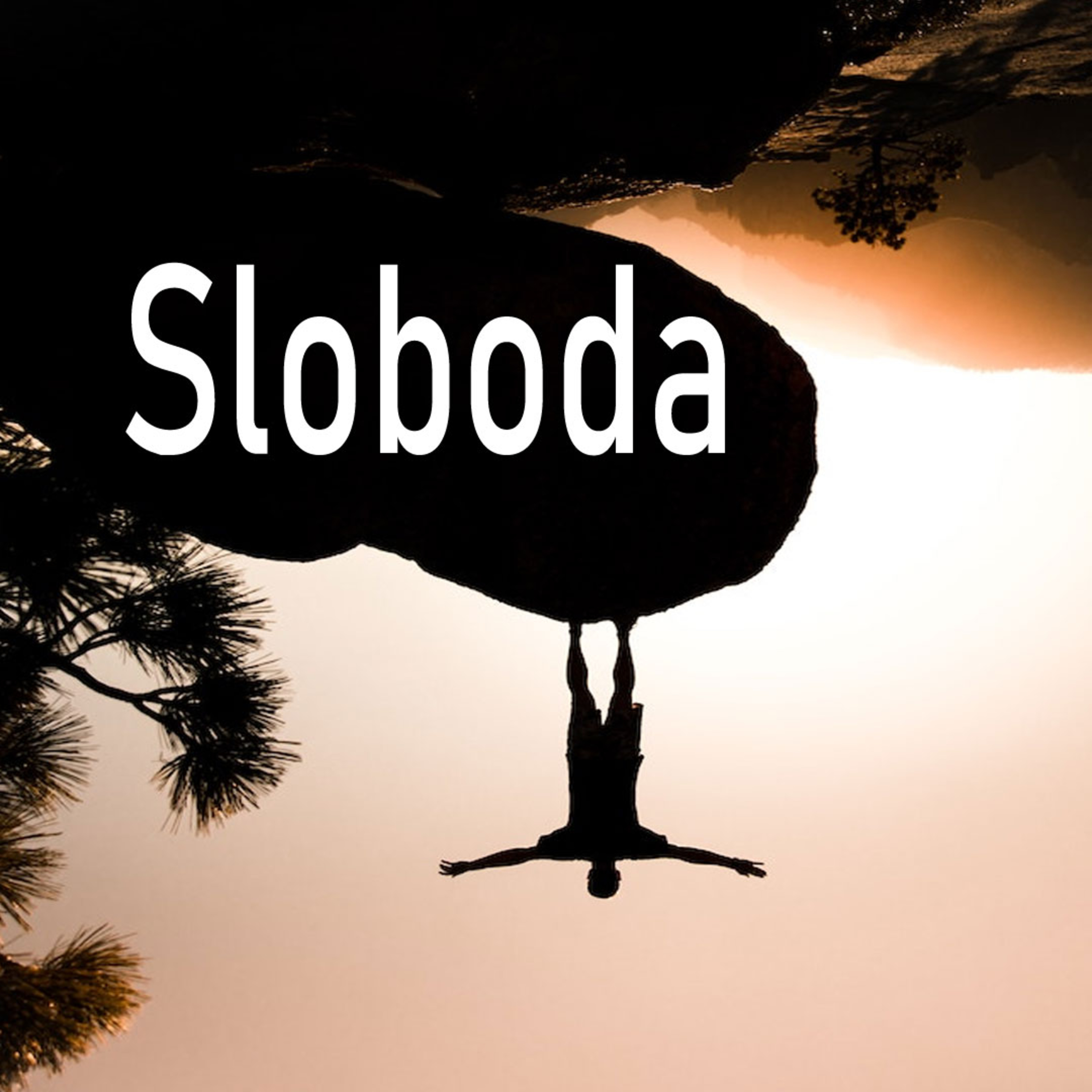 Da li je Sloboda je najbitnija ? Zašto bogataše boli uvo za ostale ljude? episode artwork