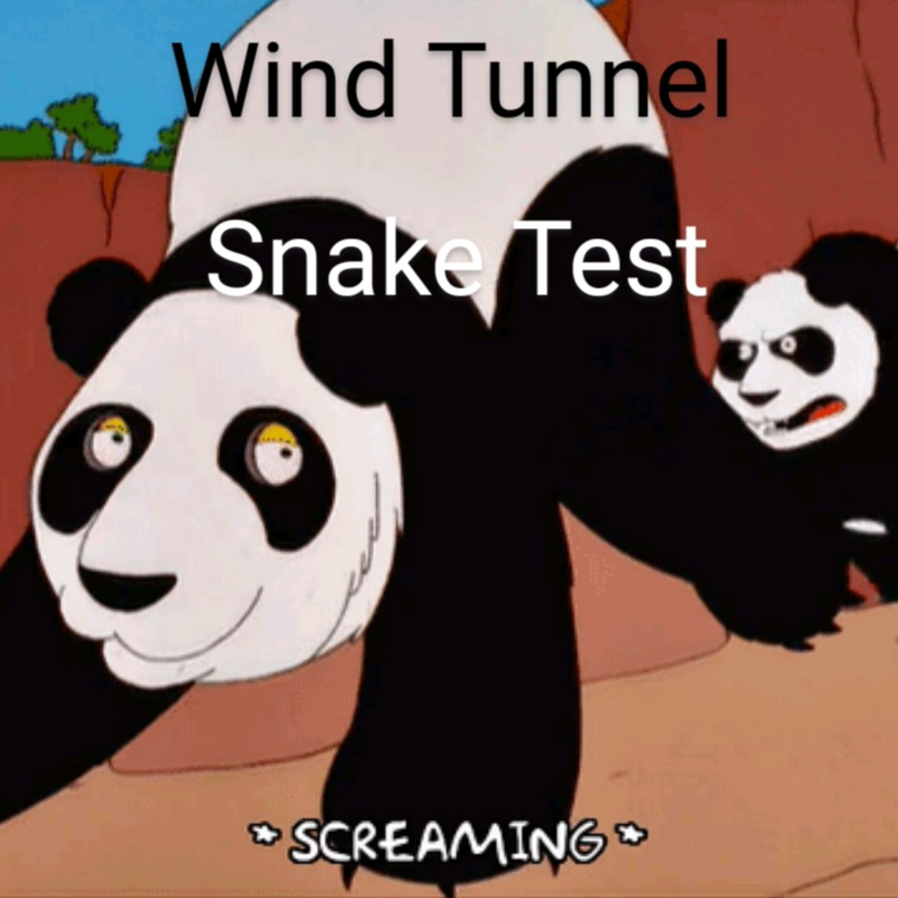 Episode 9: Wind Tunnel Snake Test episode artwork