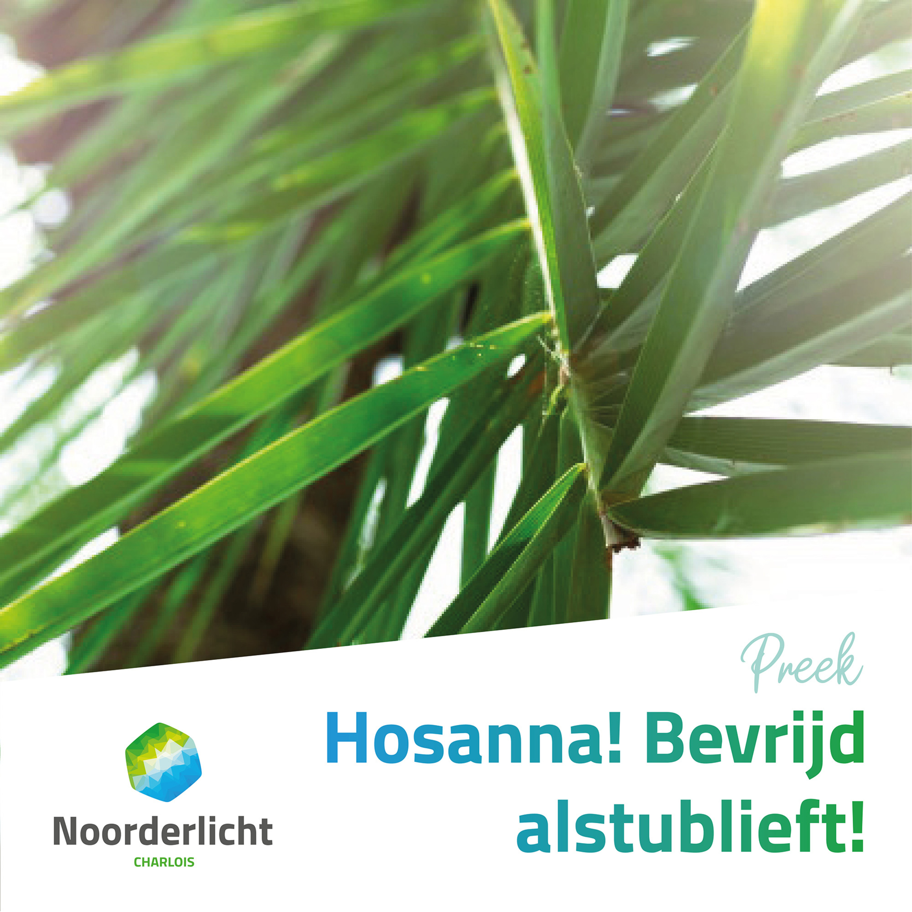 Noorderlicht Charlois Preken