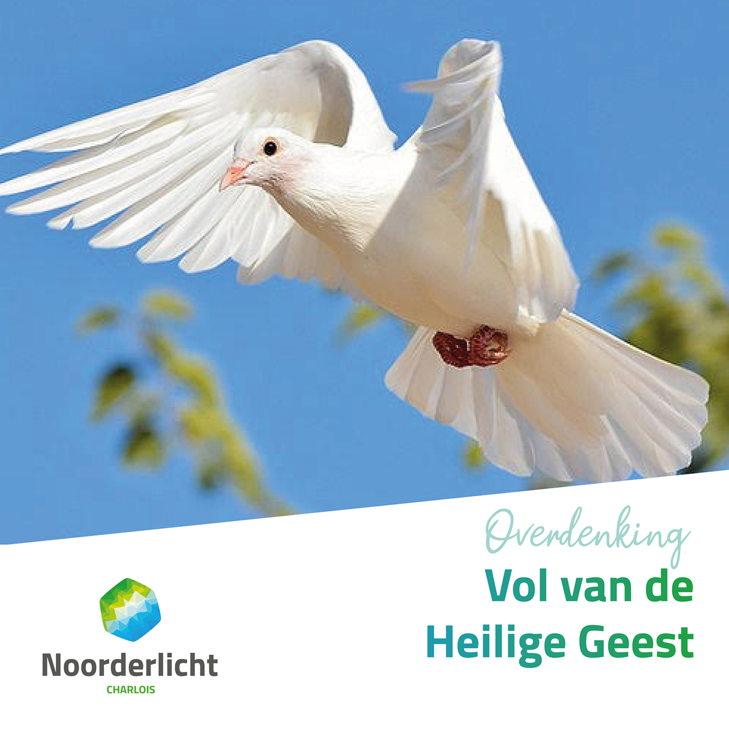 Noorderlicht Charlois Preken