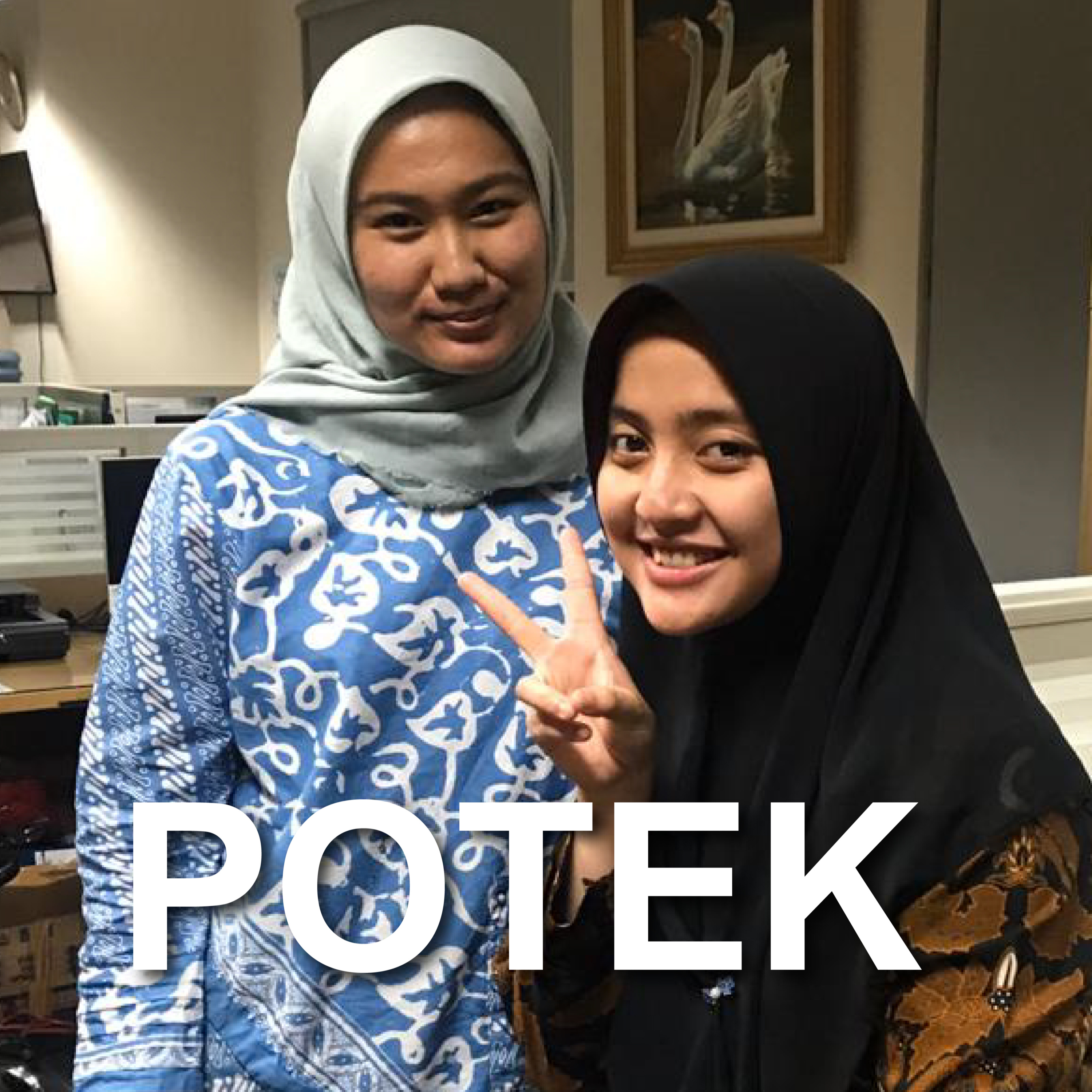 POTEK 3: CRASH LANDING ON YOU! episode artwork