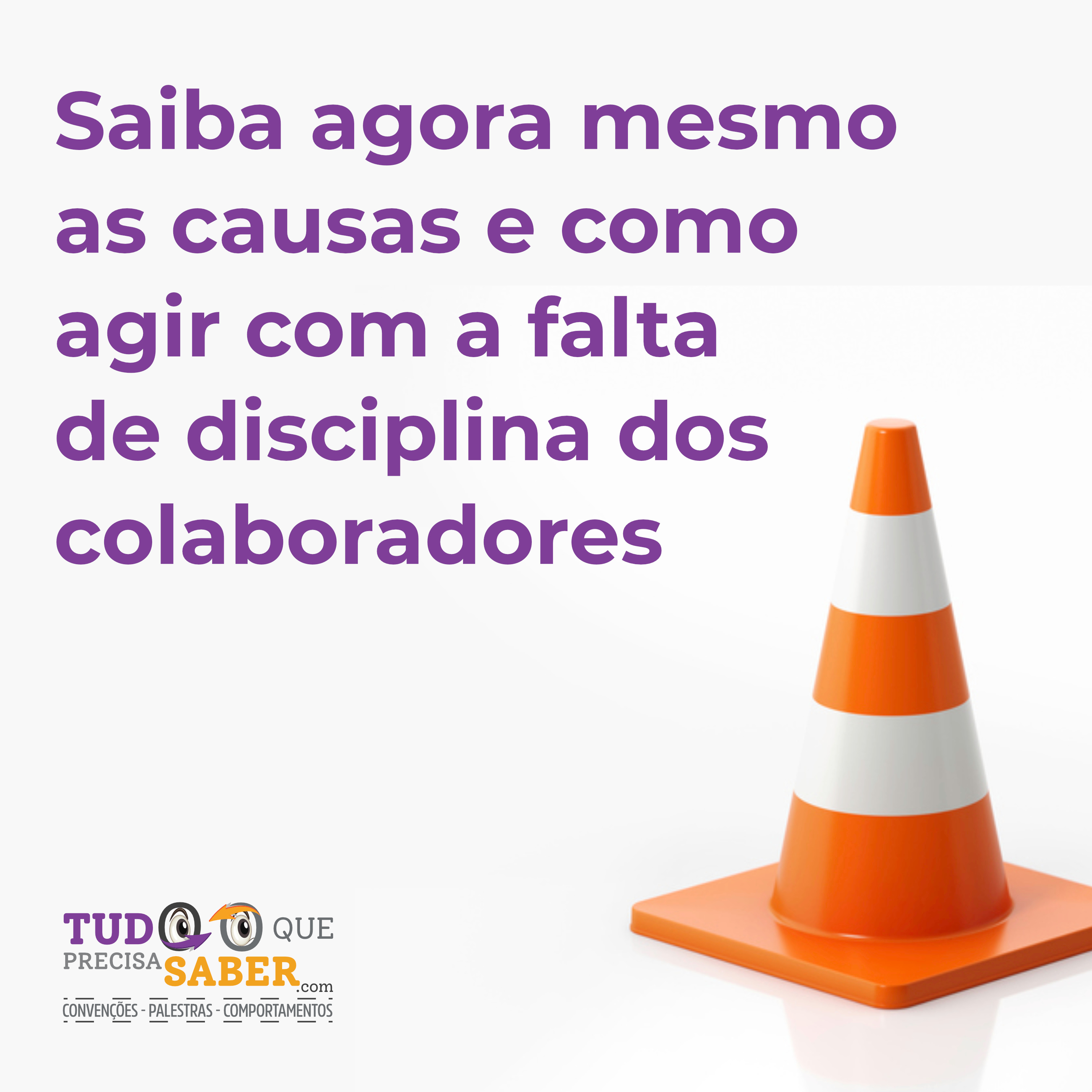 Tudo Que Precisa Saber Com