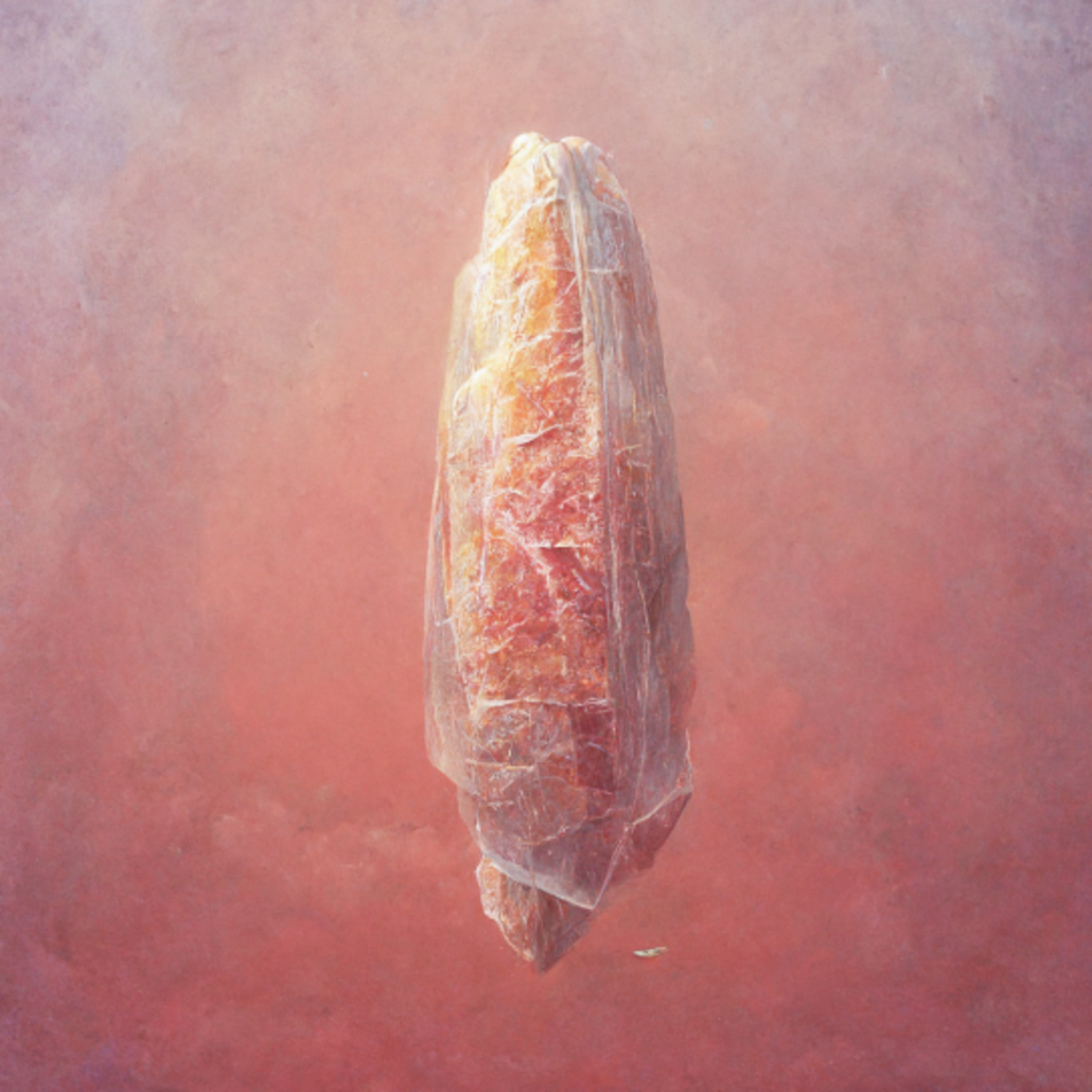 Global Warming Revealed to Be Caused By Giant, Invisible Ham Sandwich episode artwork