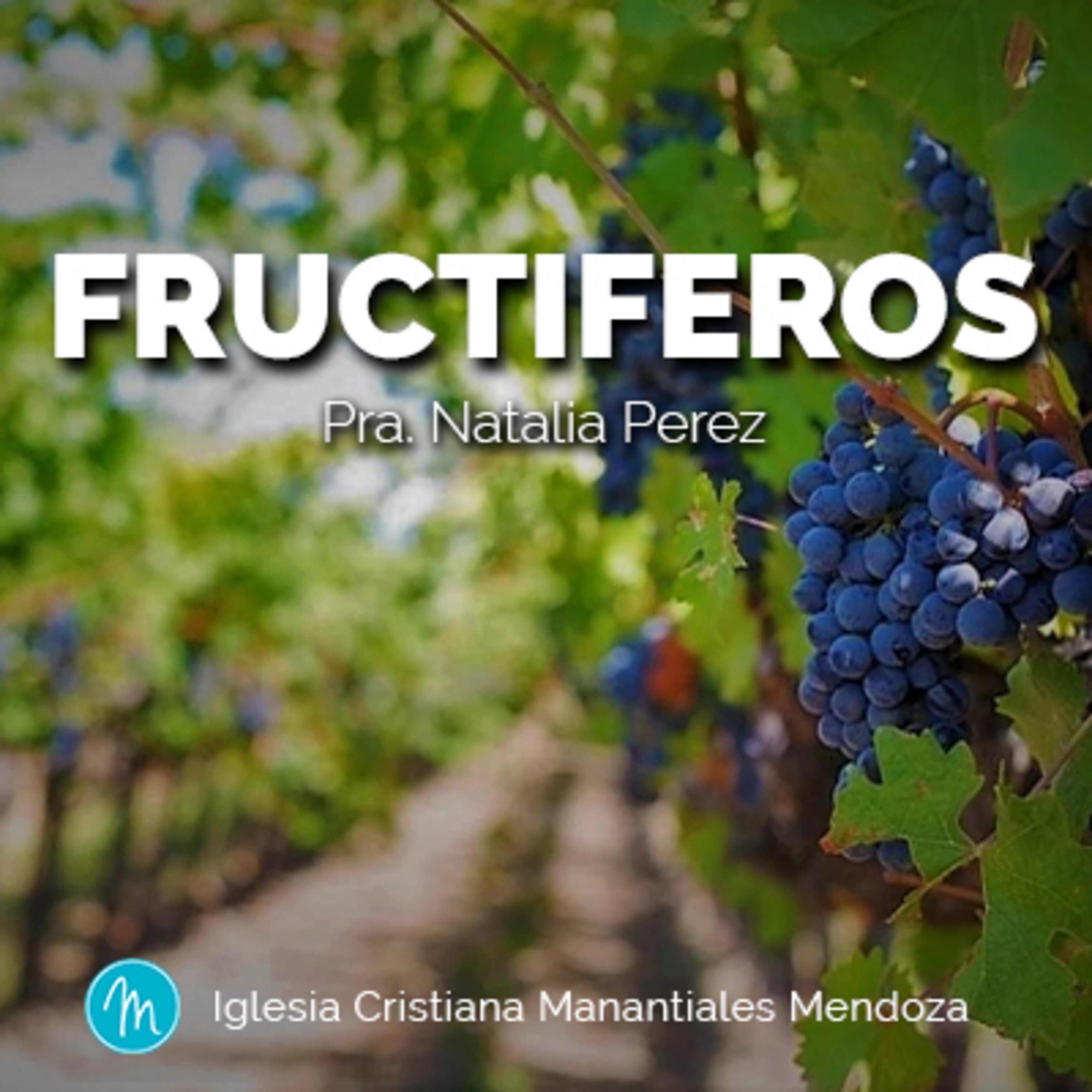 Manantiales Mendoza