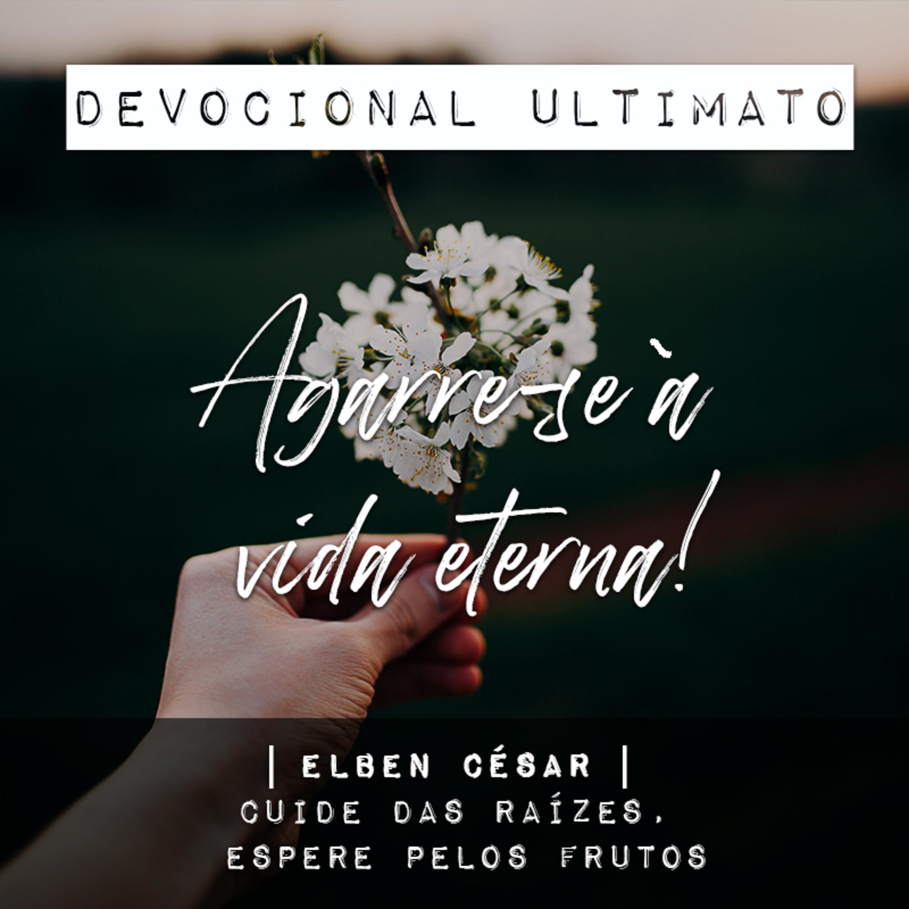 Agarre-se à vida eterna - Elben César | Devocional Ultimato