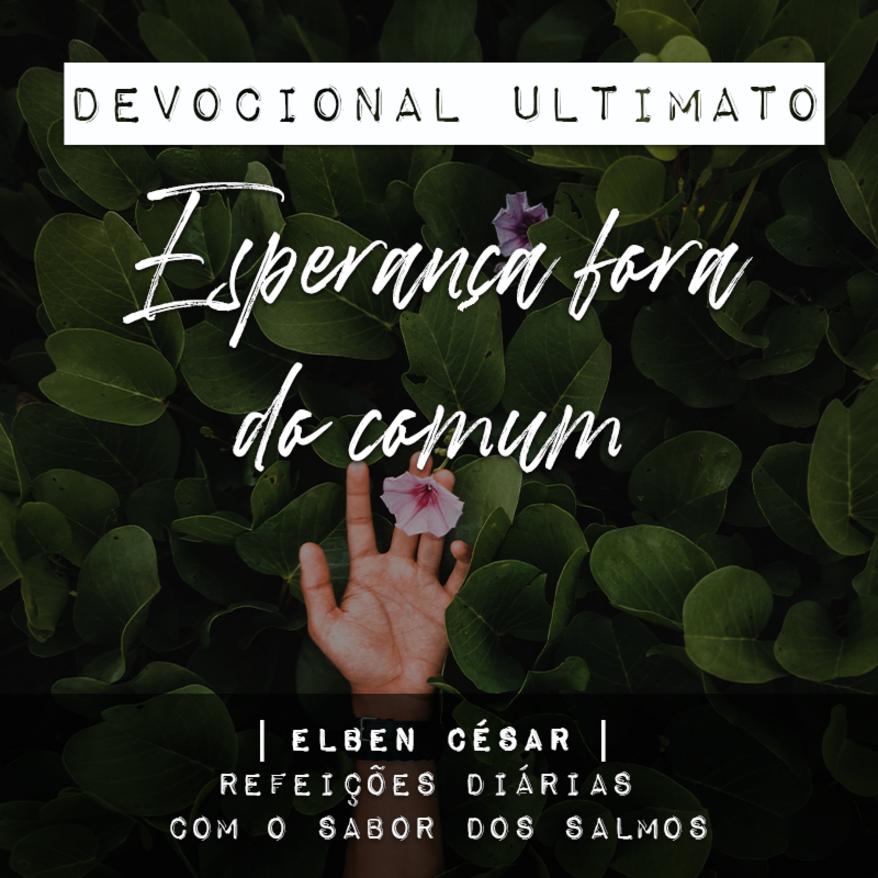 Esperança fora do comum - Elben César | Devocional Ultimato