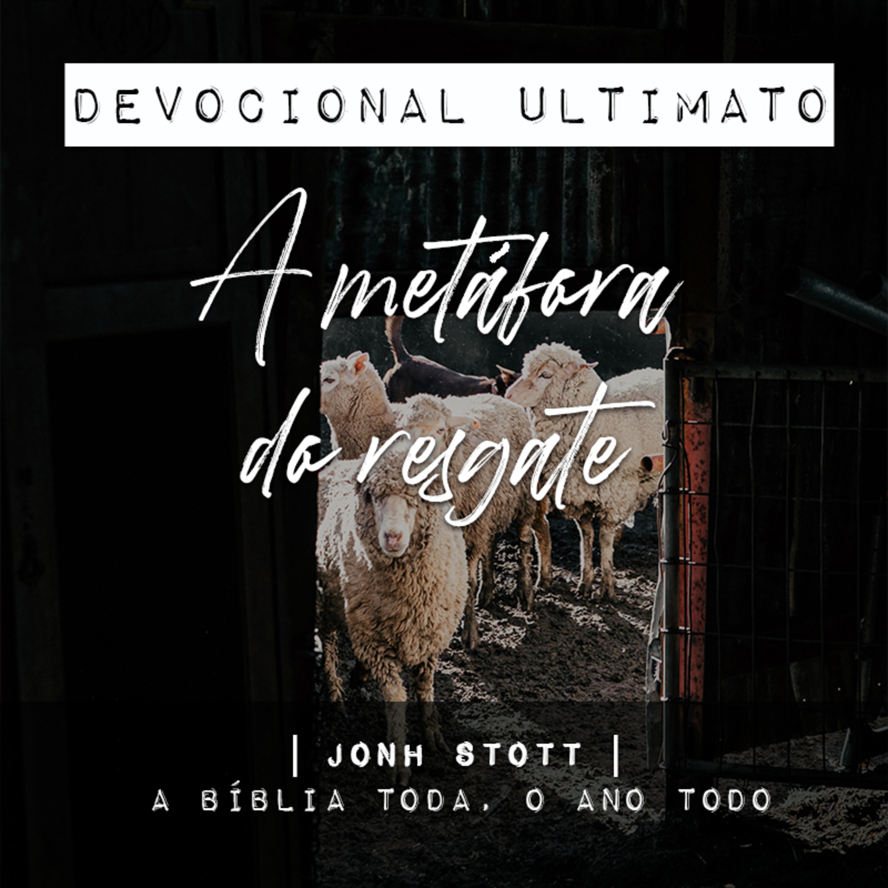 A metáfora do resgate - John Stott | Devocional Ultimato