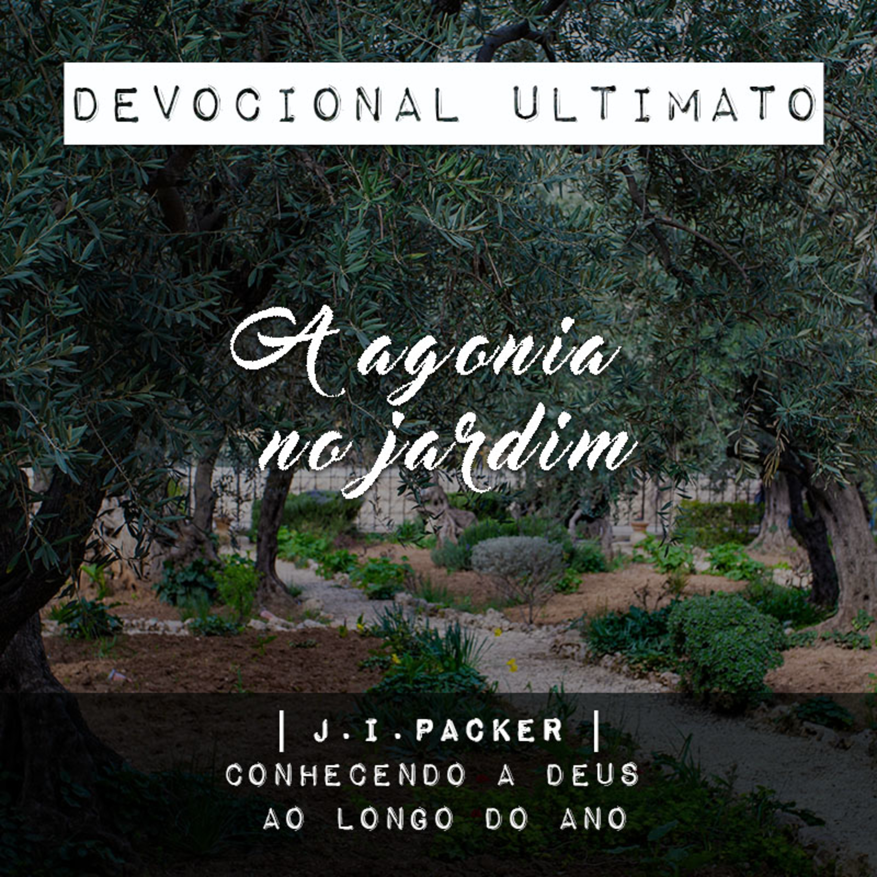 A agonia no jardim - J.I.Packer | Devocional Ultimato