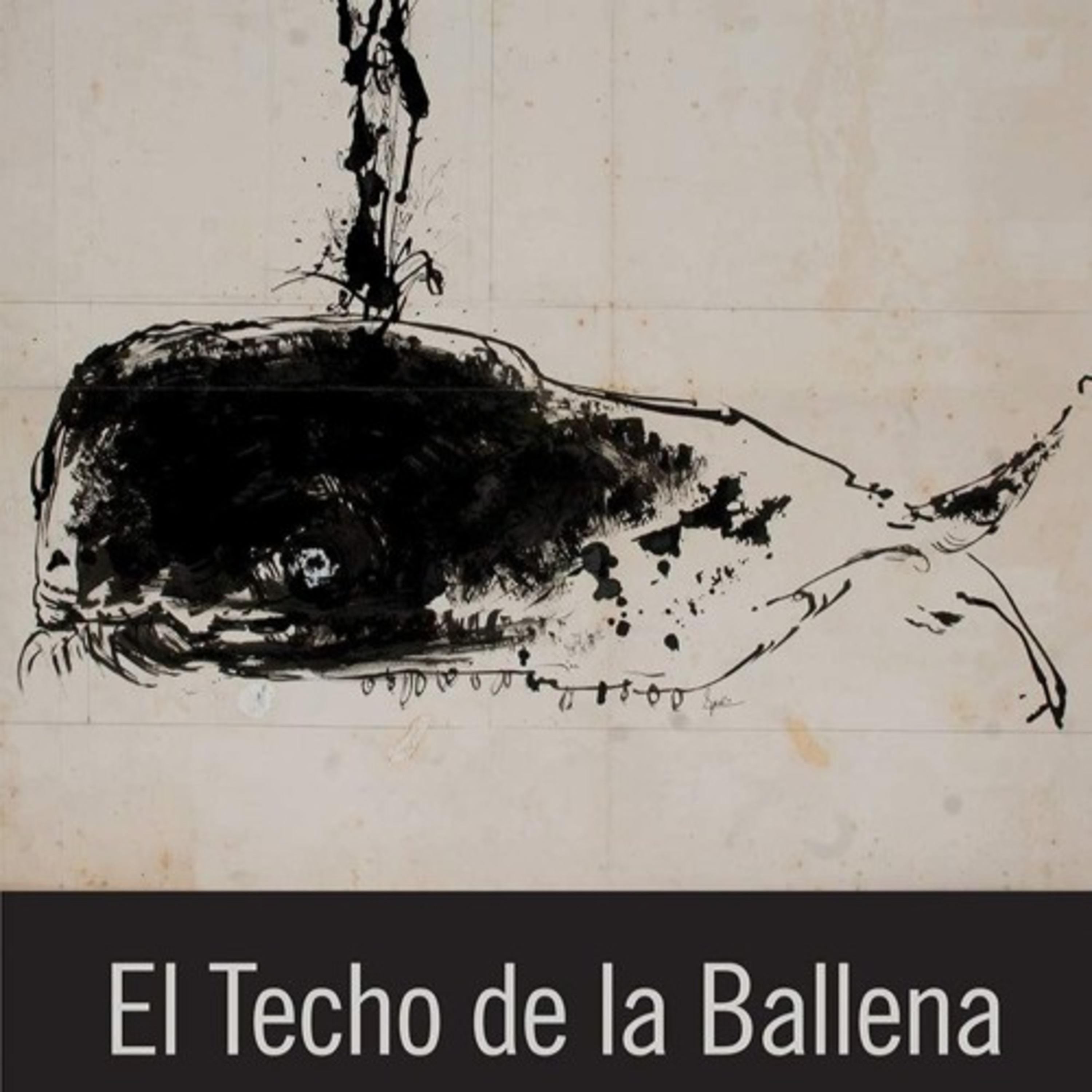 El Techo de la Ballena