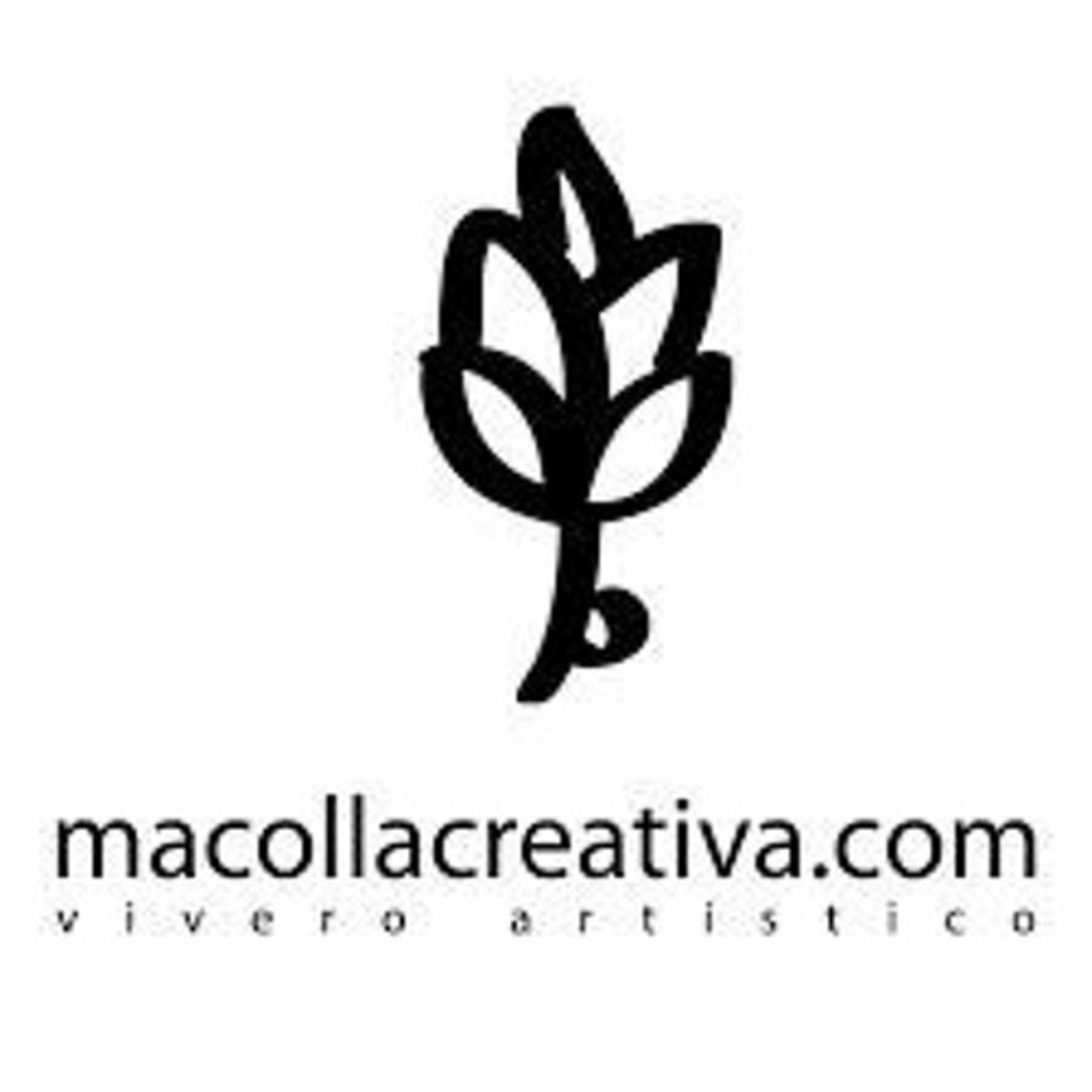 La Macolla Brote Creativo