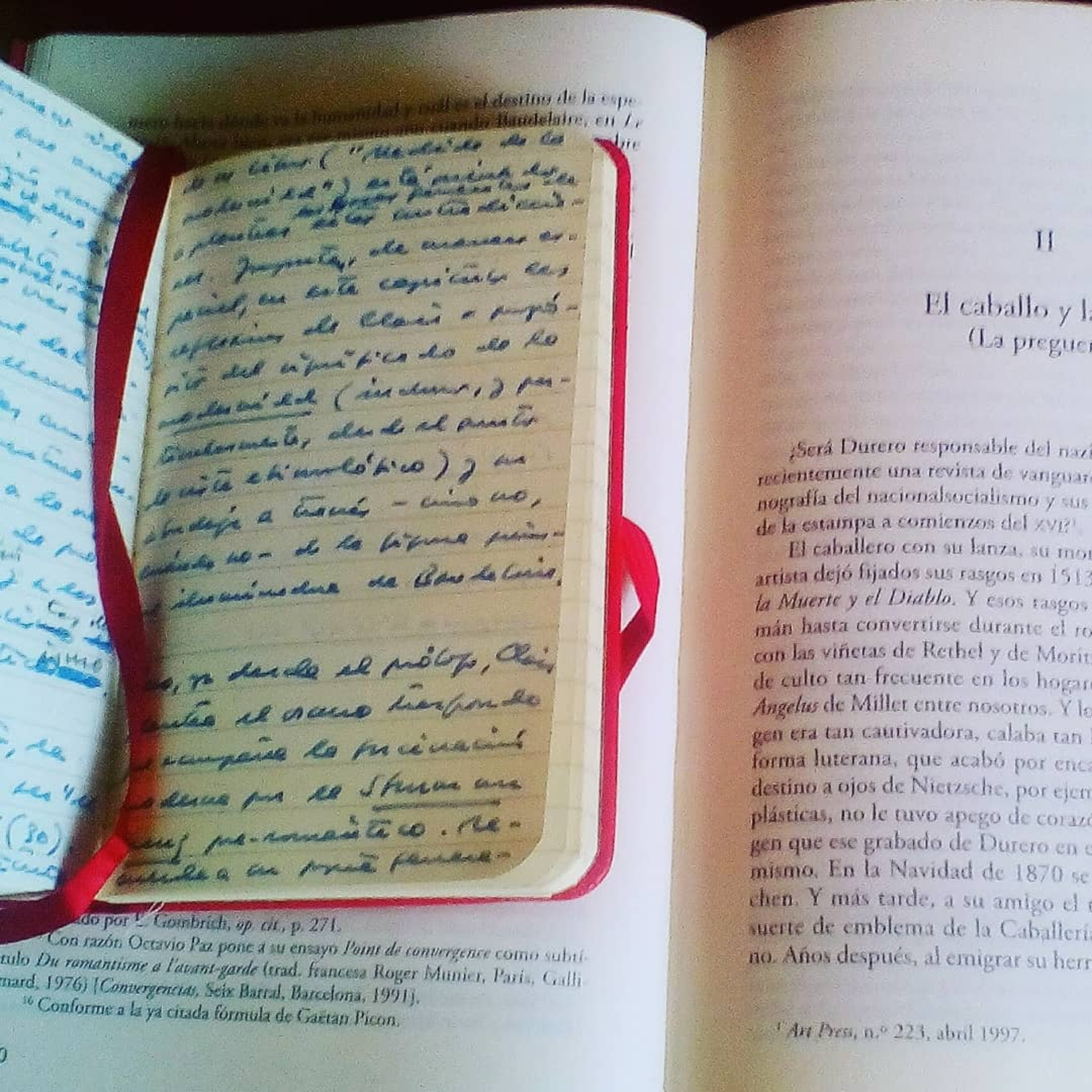 Forma y estructura en los libros de María Fernanda Palacios. Tres: las notas al pie. episode artwork