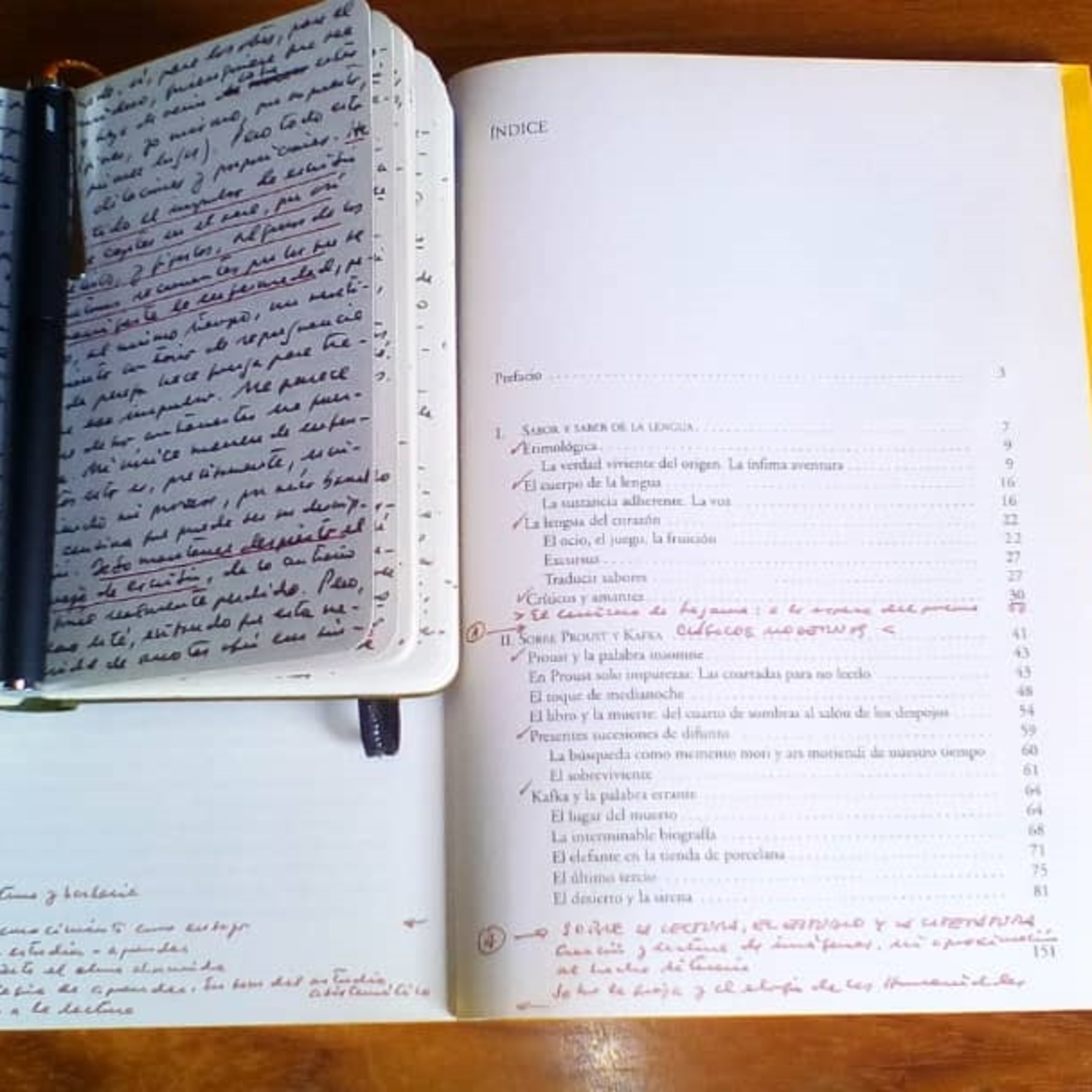 Forma y estructura en los libros de María Fernanda Palacios. Dos: los índices  episode artwork