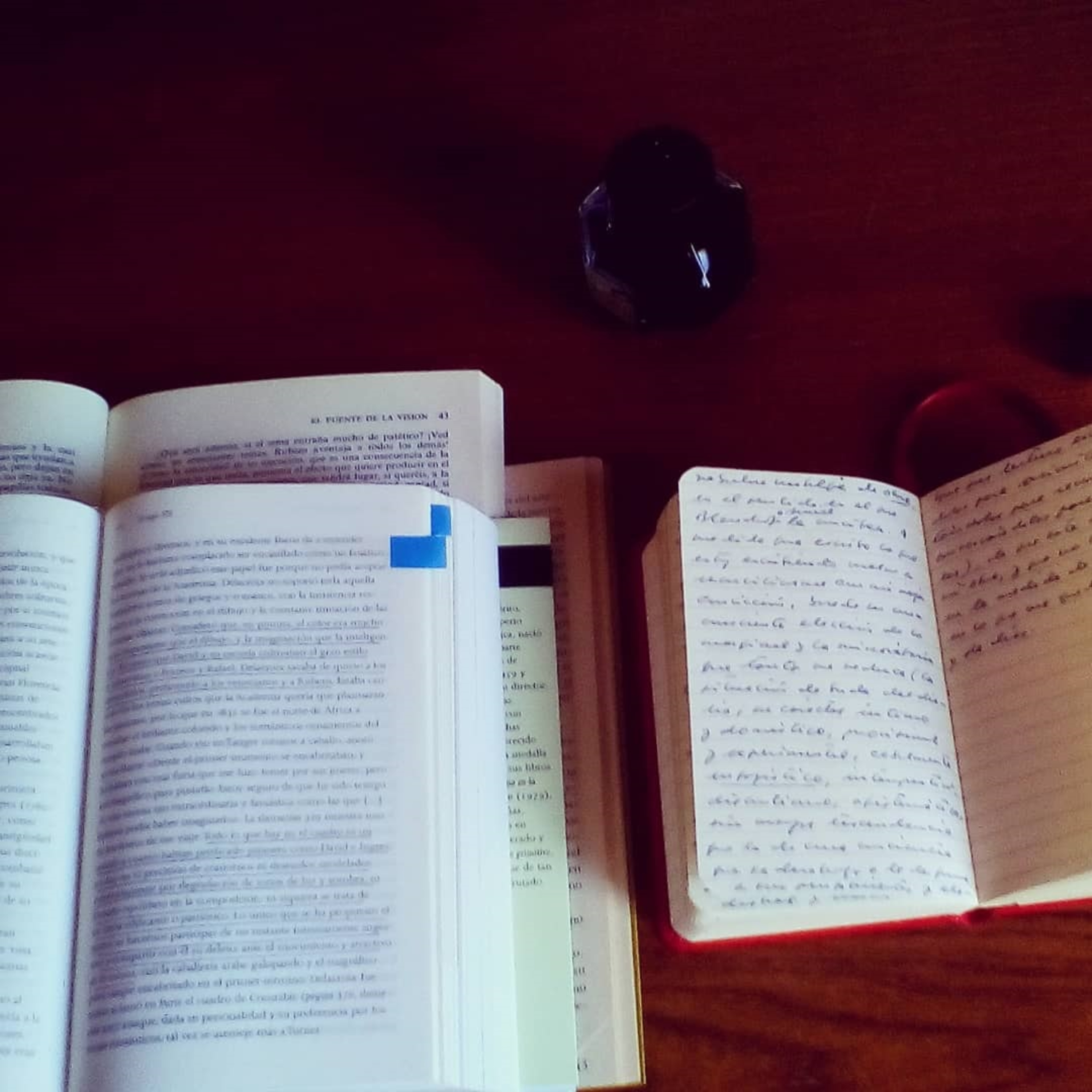 Forma y estructura en los libros de María Fernanda Palacios. Cuatro: coda final.