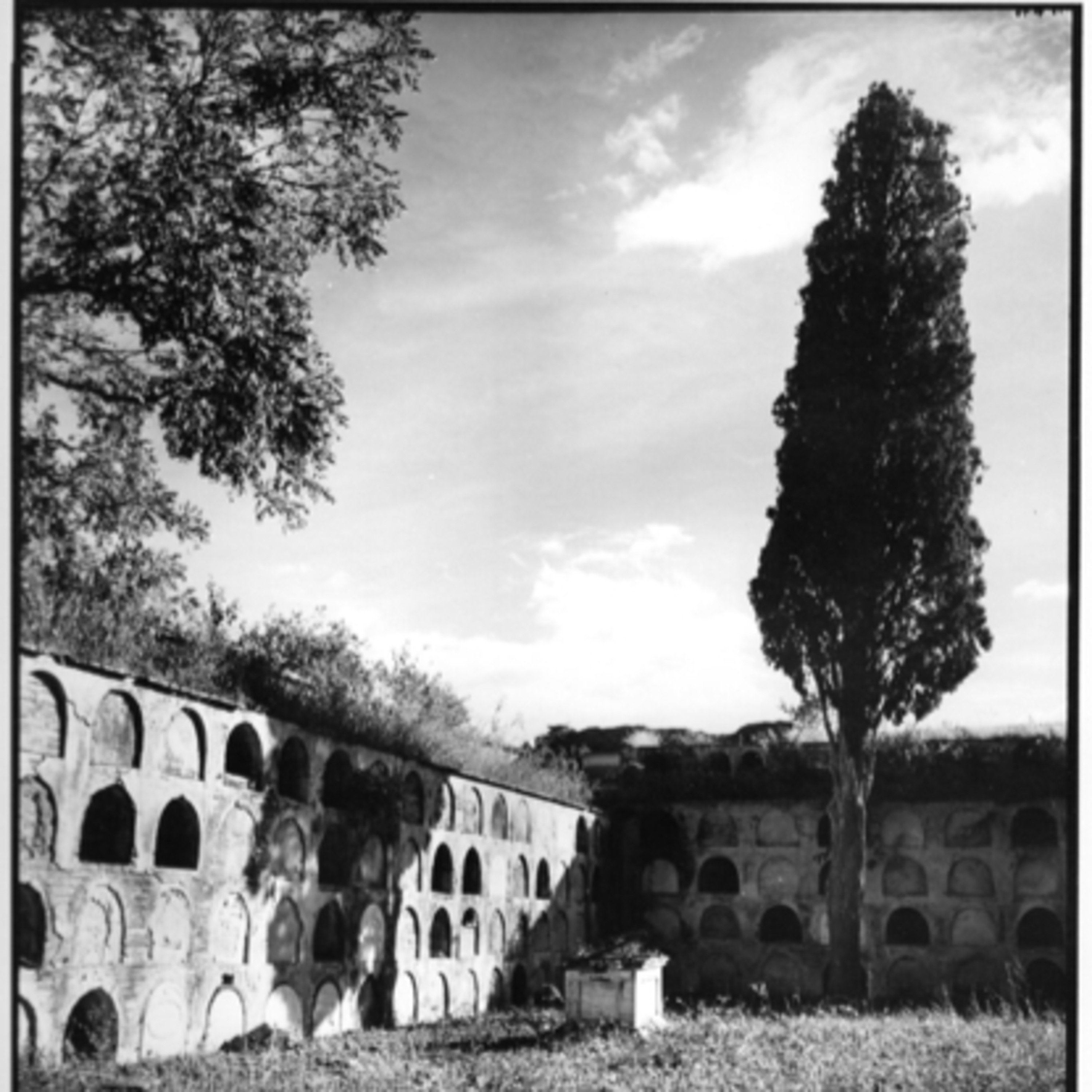 Cementerio Los Hijos de Dios  episode artwork