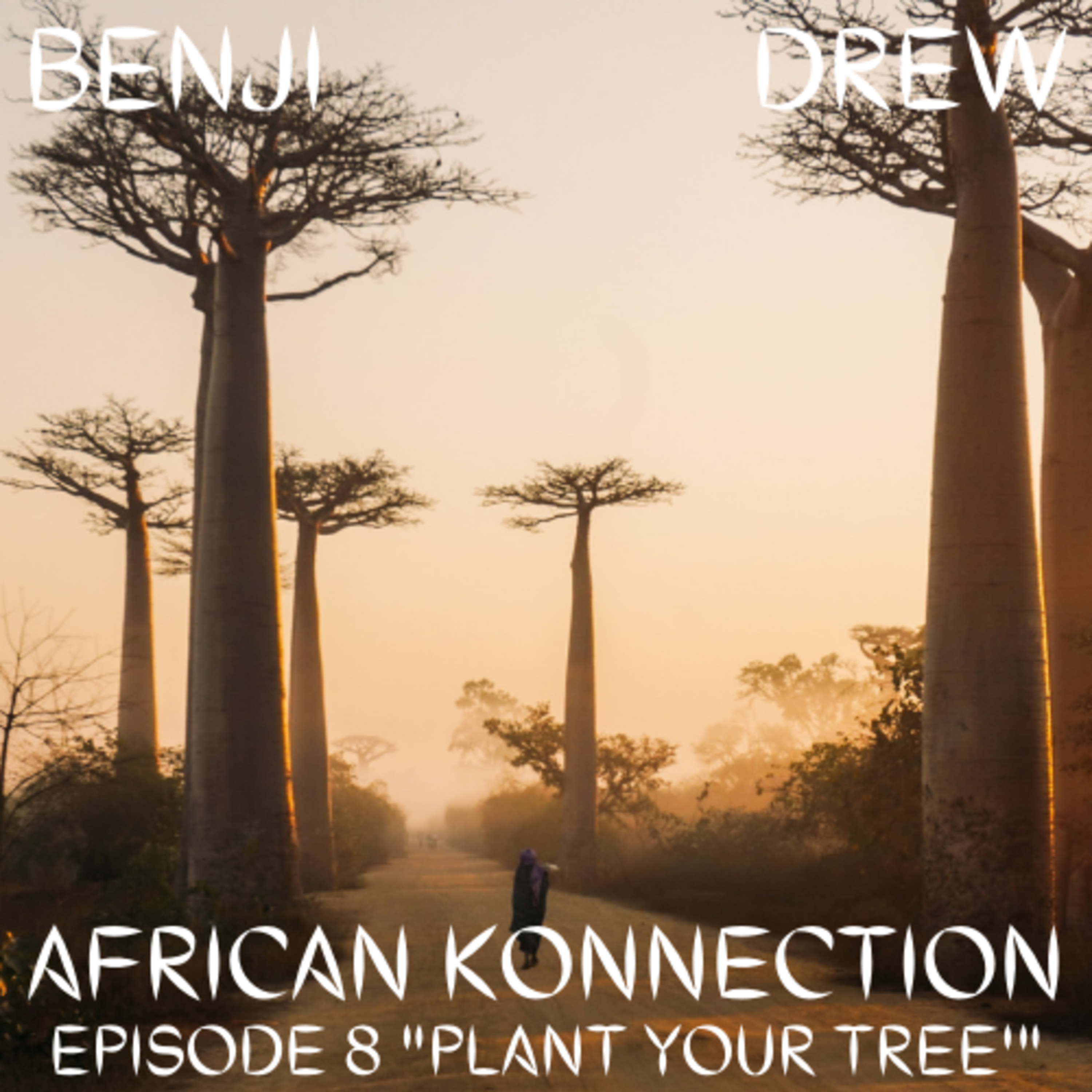 AFRICAN KONNECTION