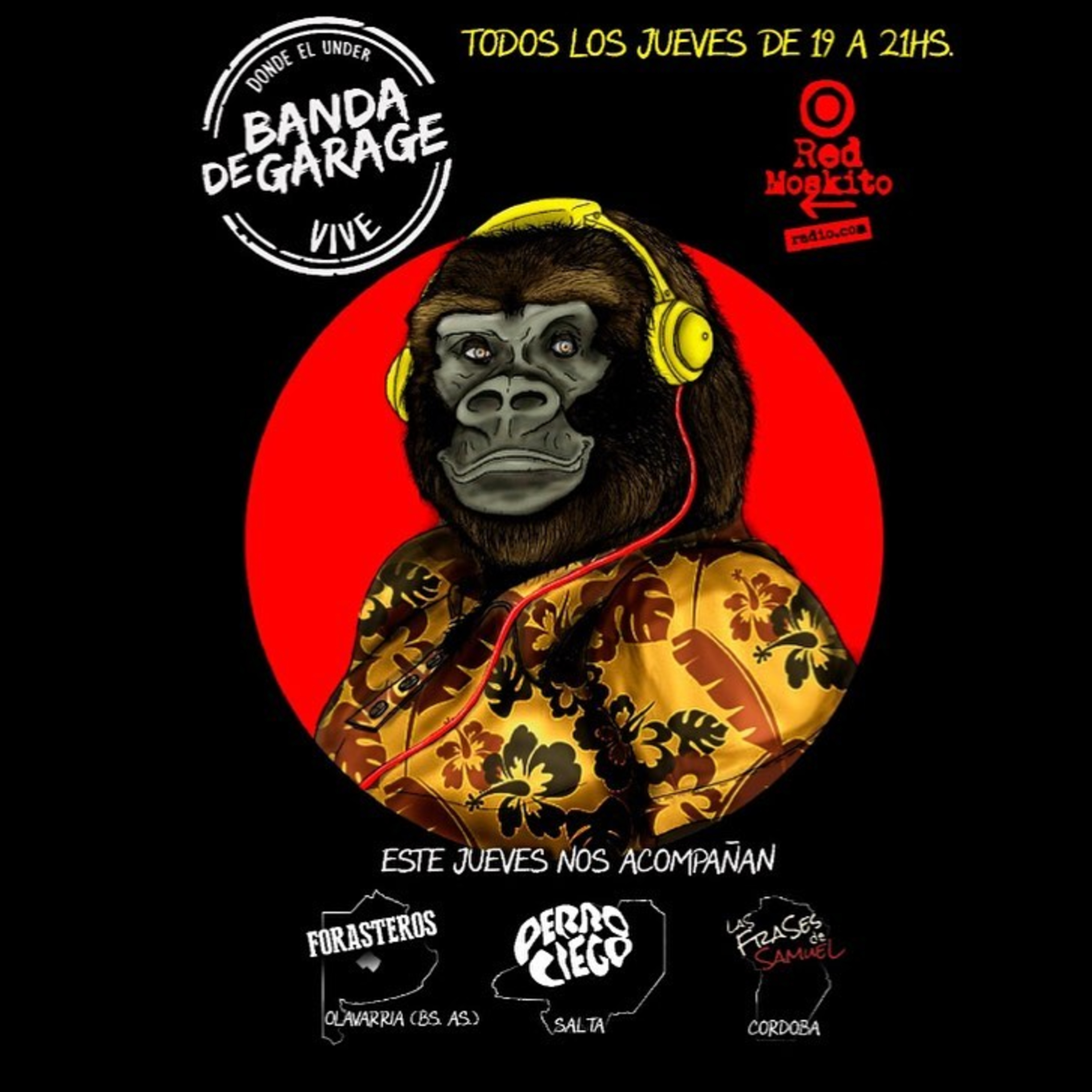 Banda de Garage