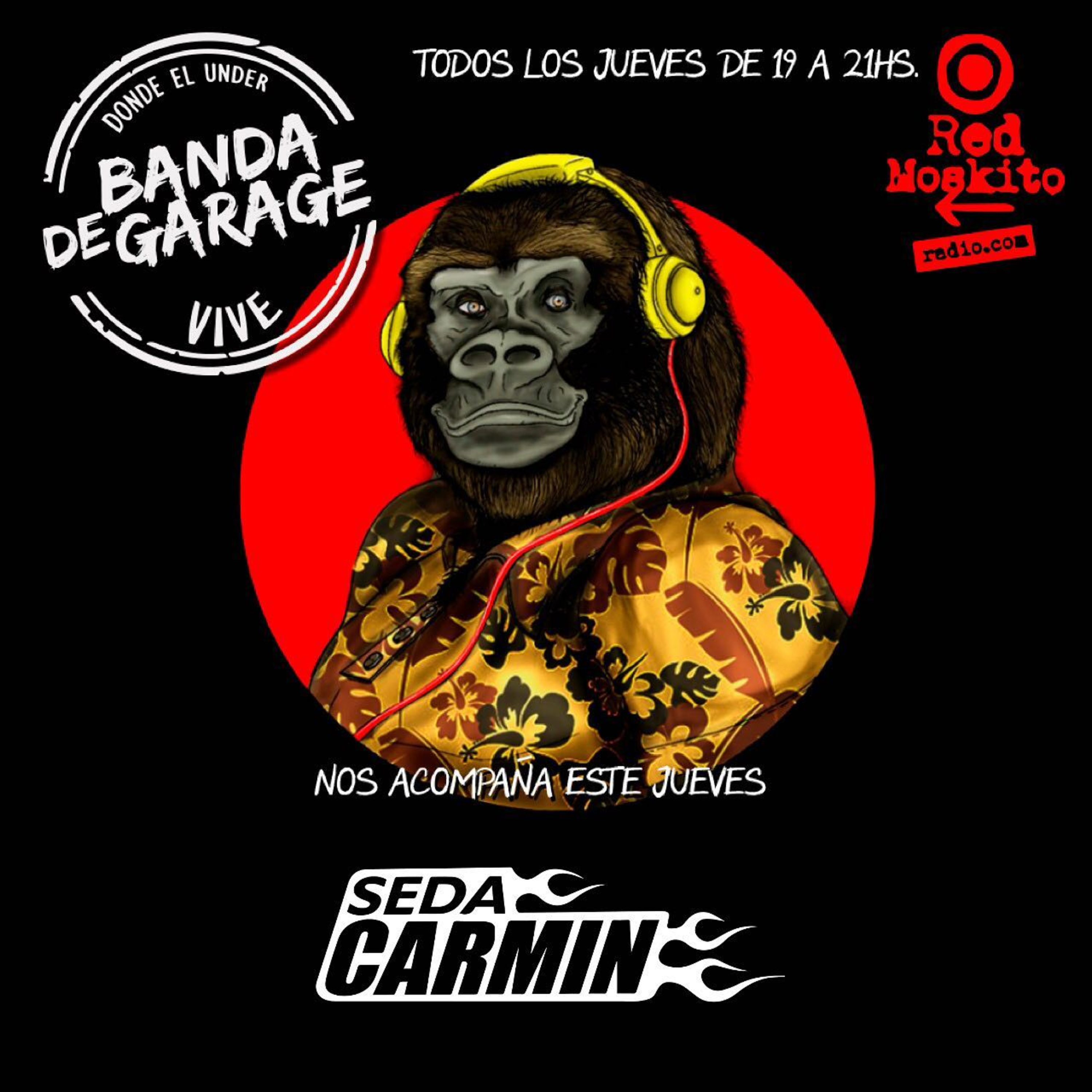 Banda de Garage
