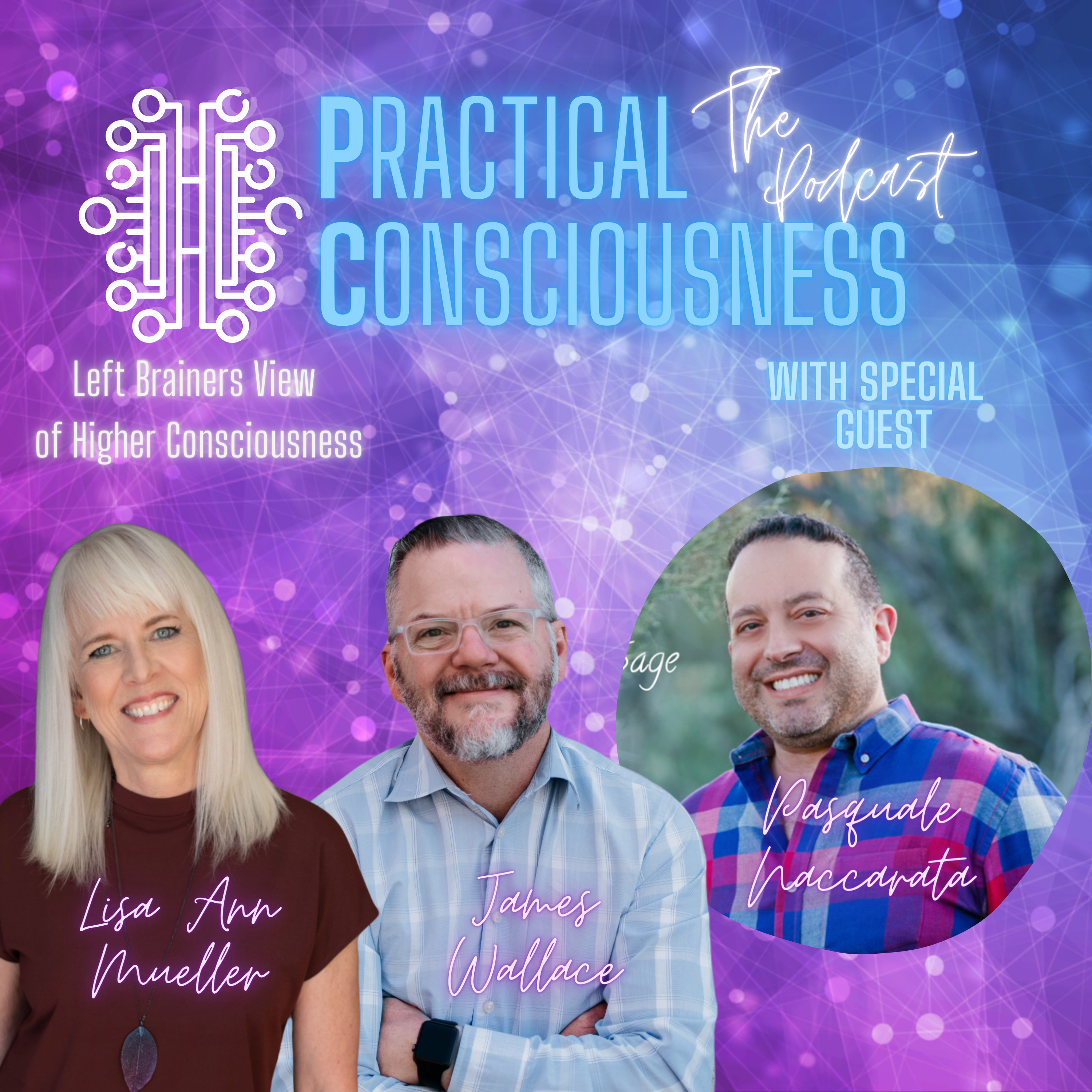 Practical Consciousness
