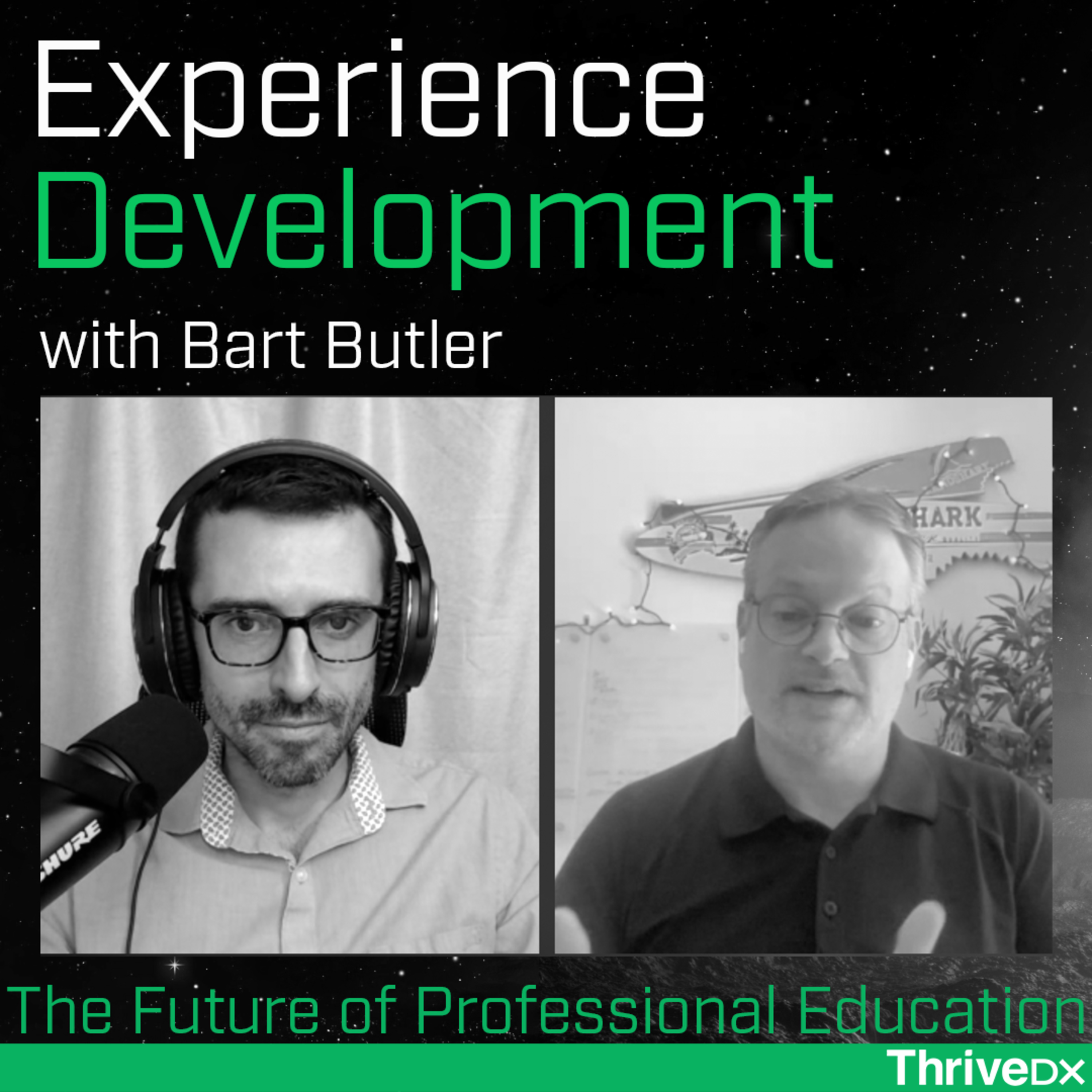 The Future of Professional Education