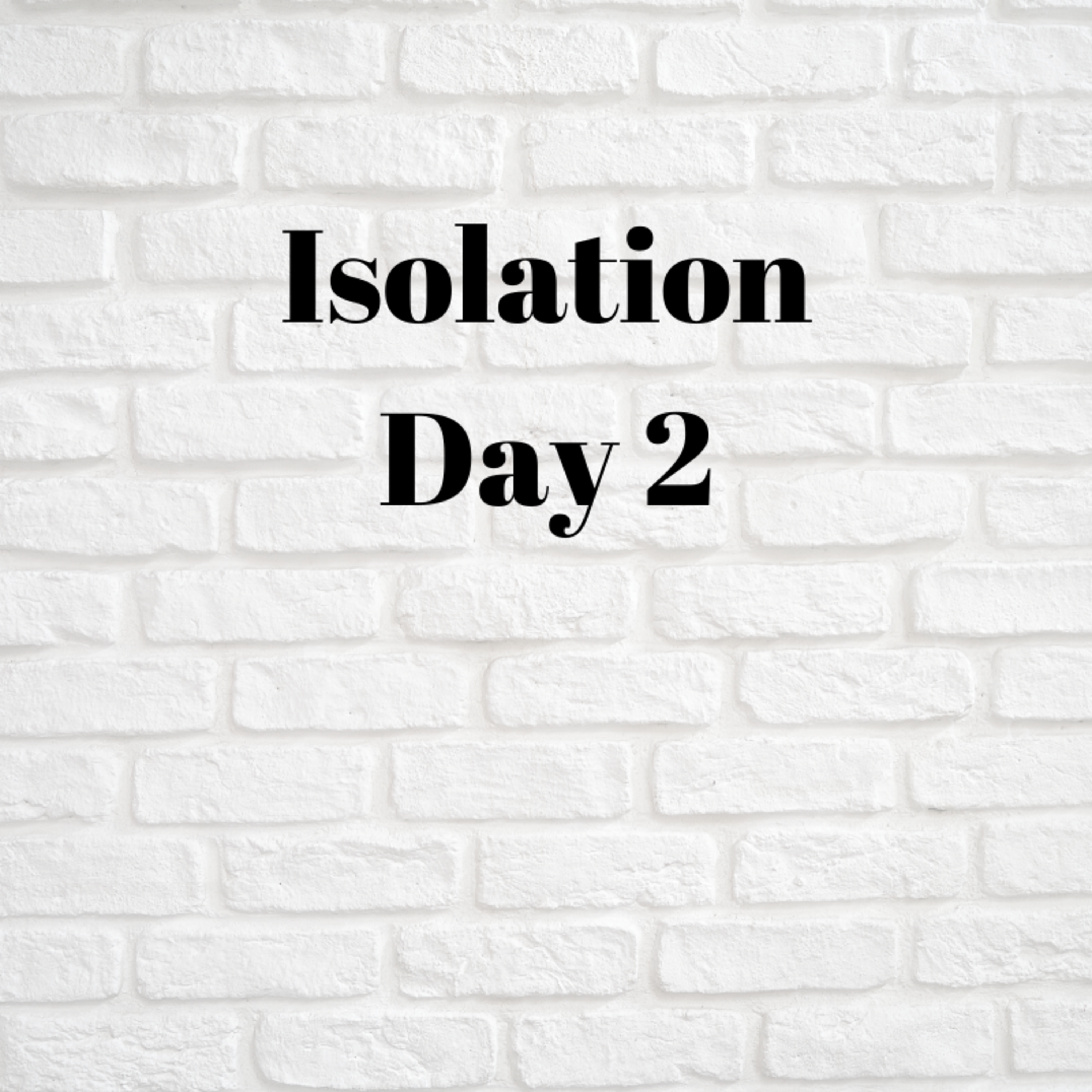 Isolation - Day 2 episode artwork