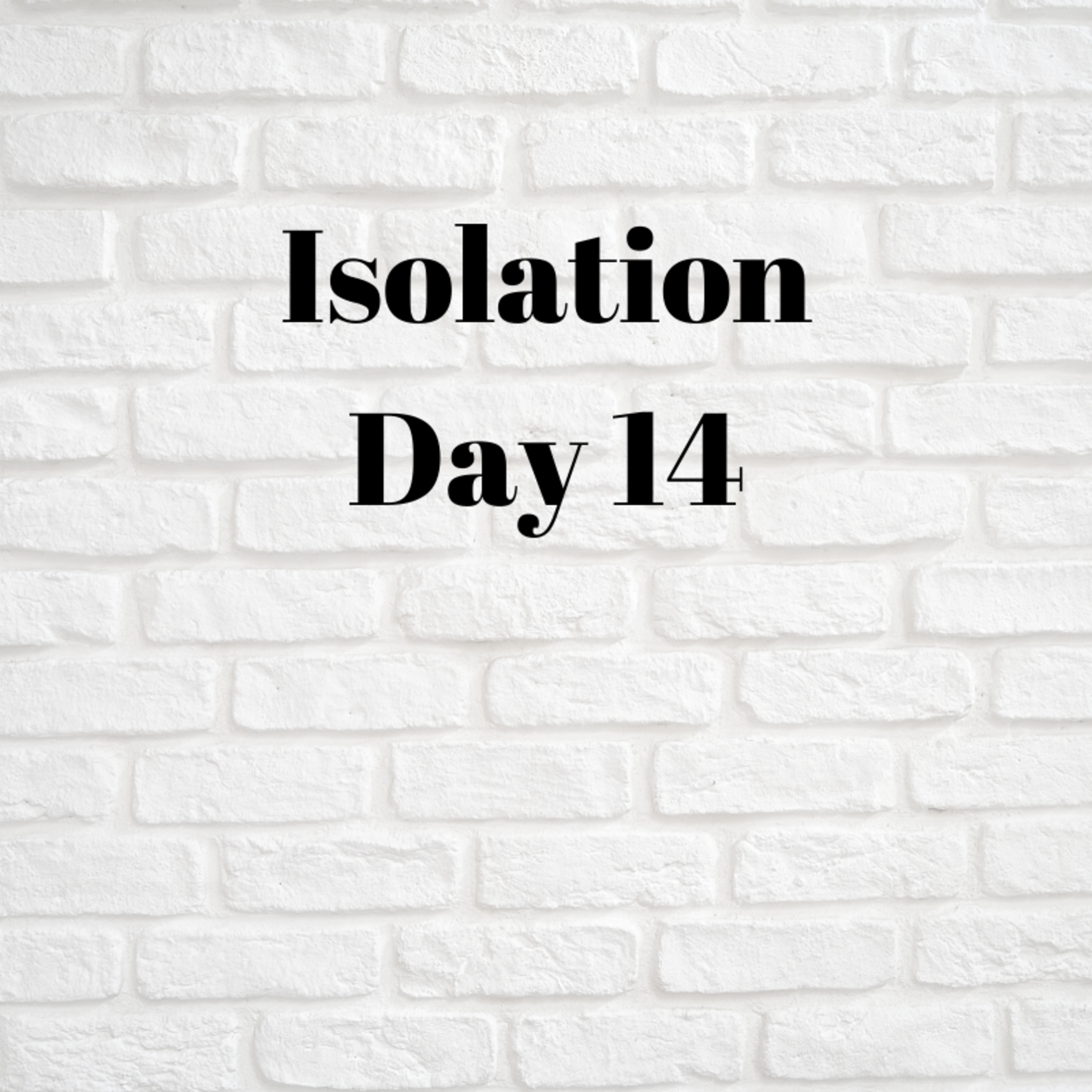 Isolation - Day 14 episode artwork