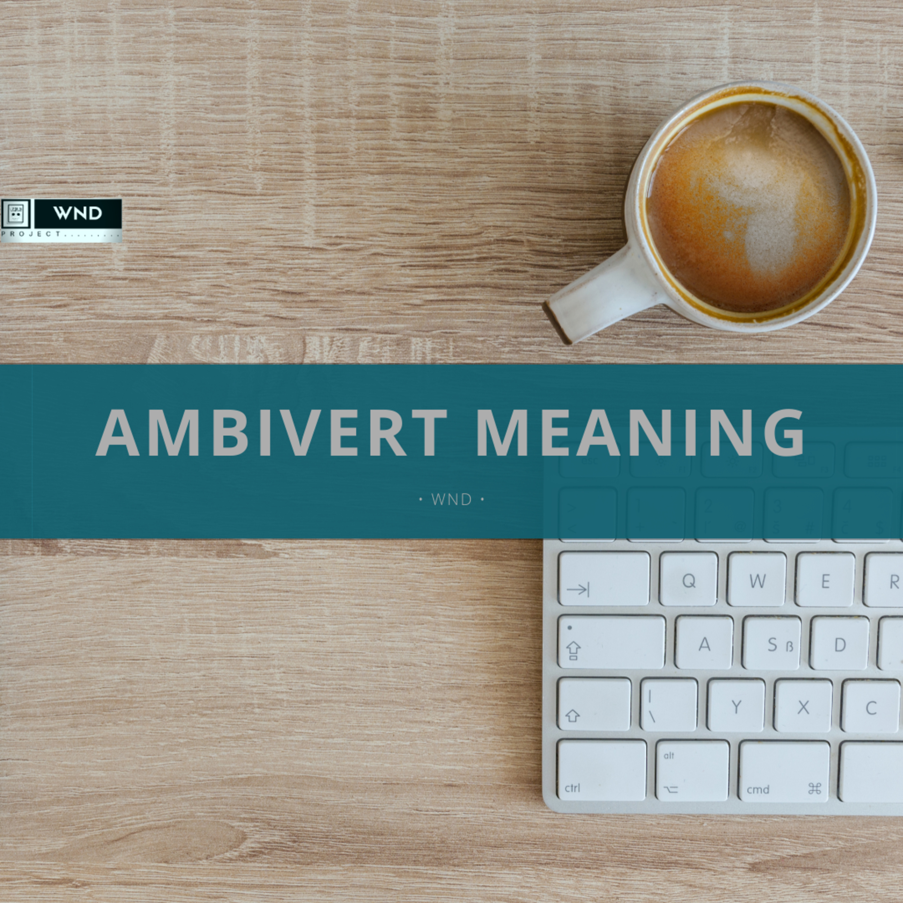 Ambivert Meaning episode artwork