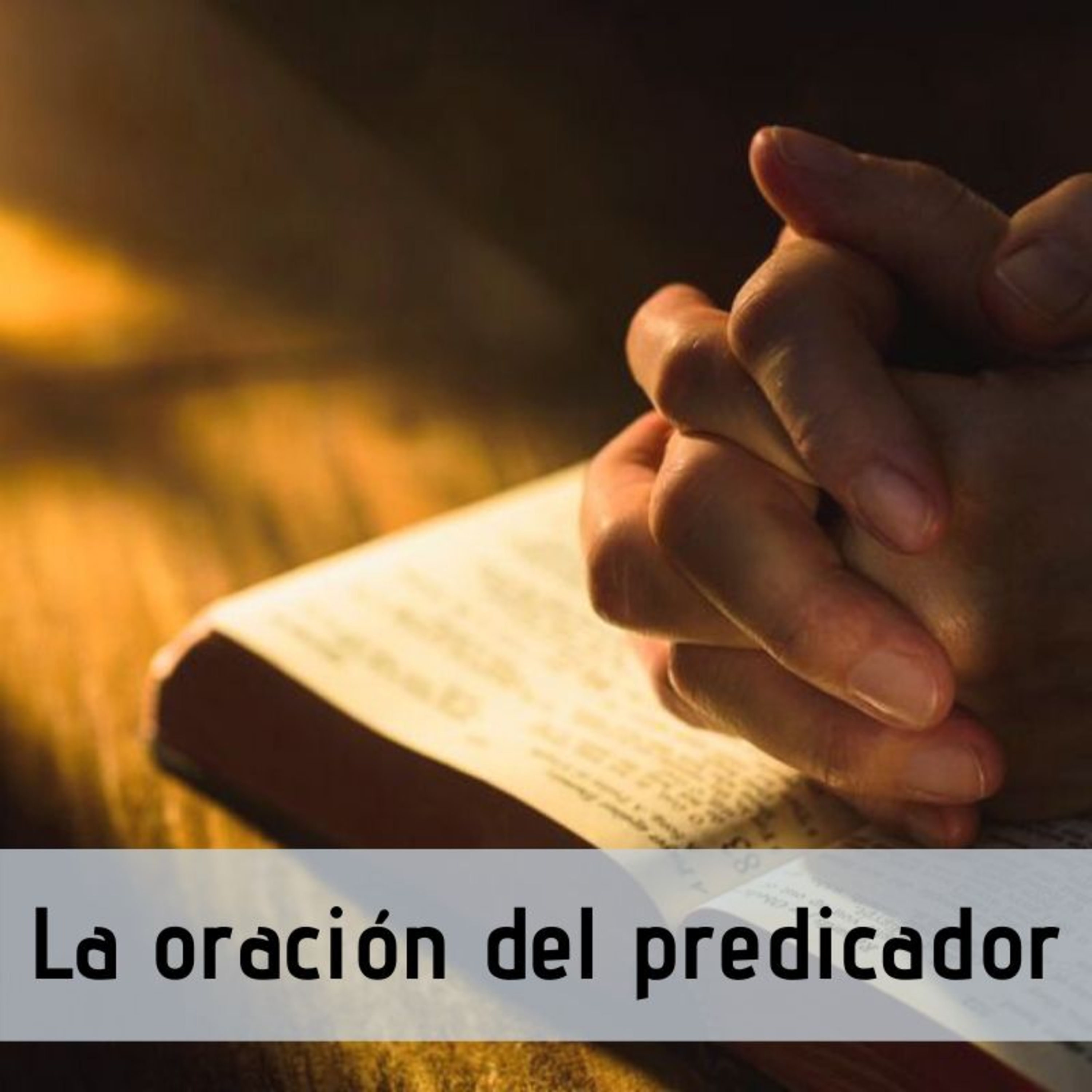 La Palabra, en tus palabras.
