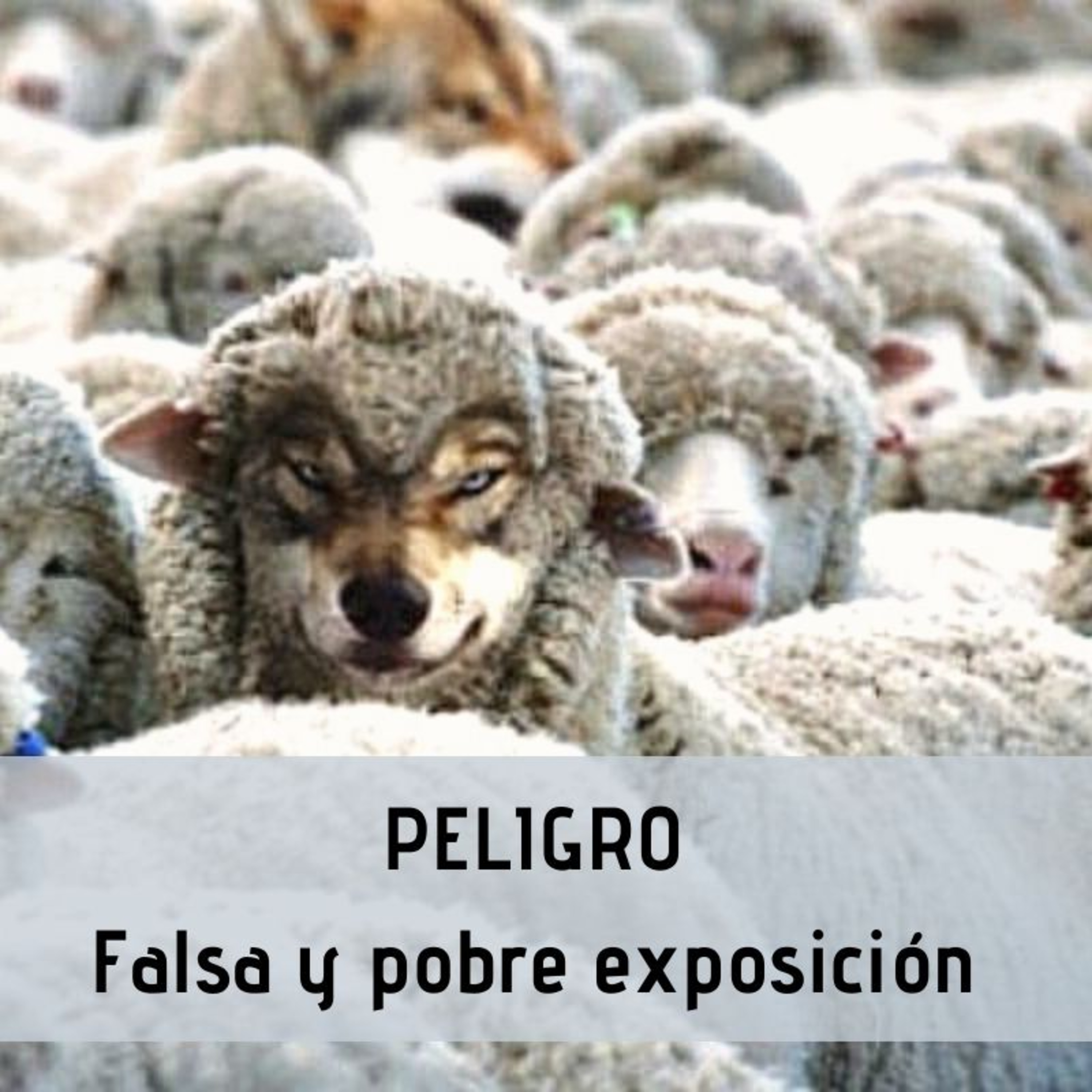 La Palabra, en tus palabras.
